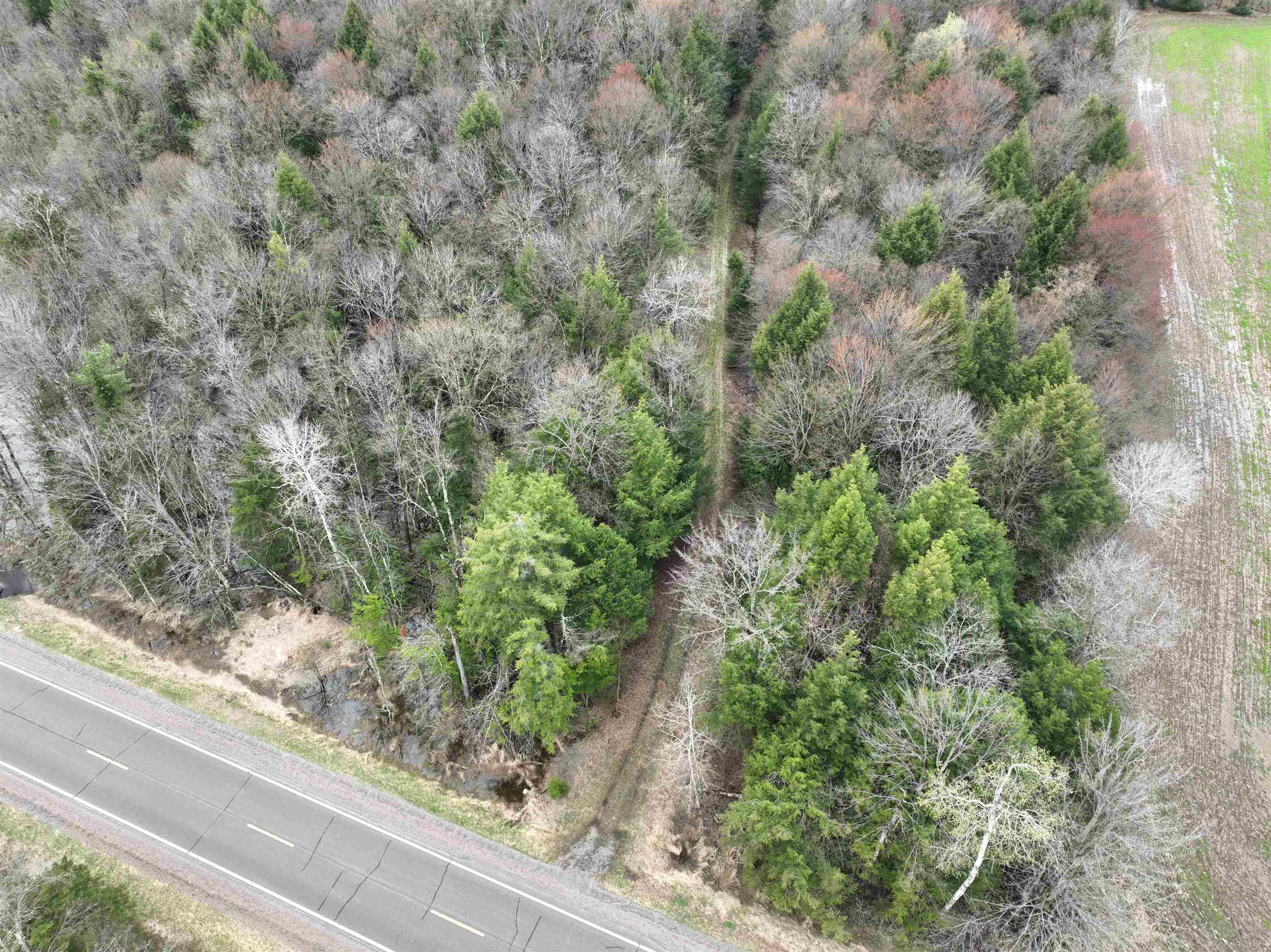 118.88 Acres on COUNTY ROAD O, Marathon, Wisconsin 54448, ,Land,For Sale,118.88 Acres on COUNTY ROAD O,22601771