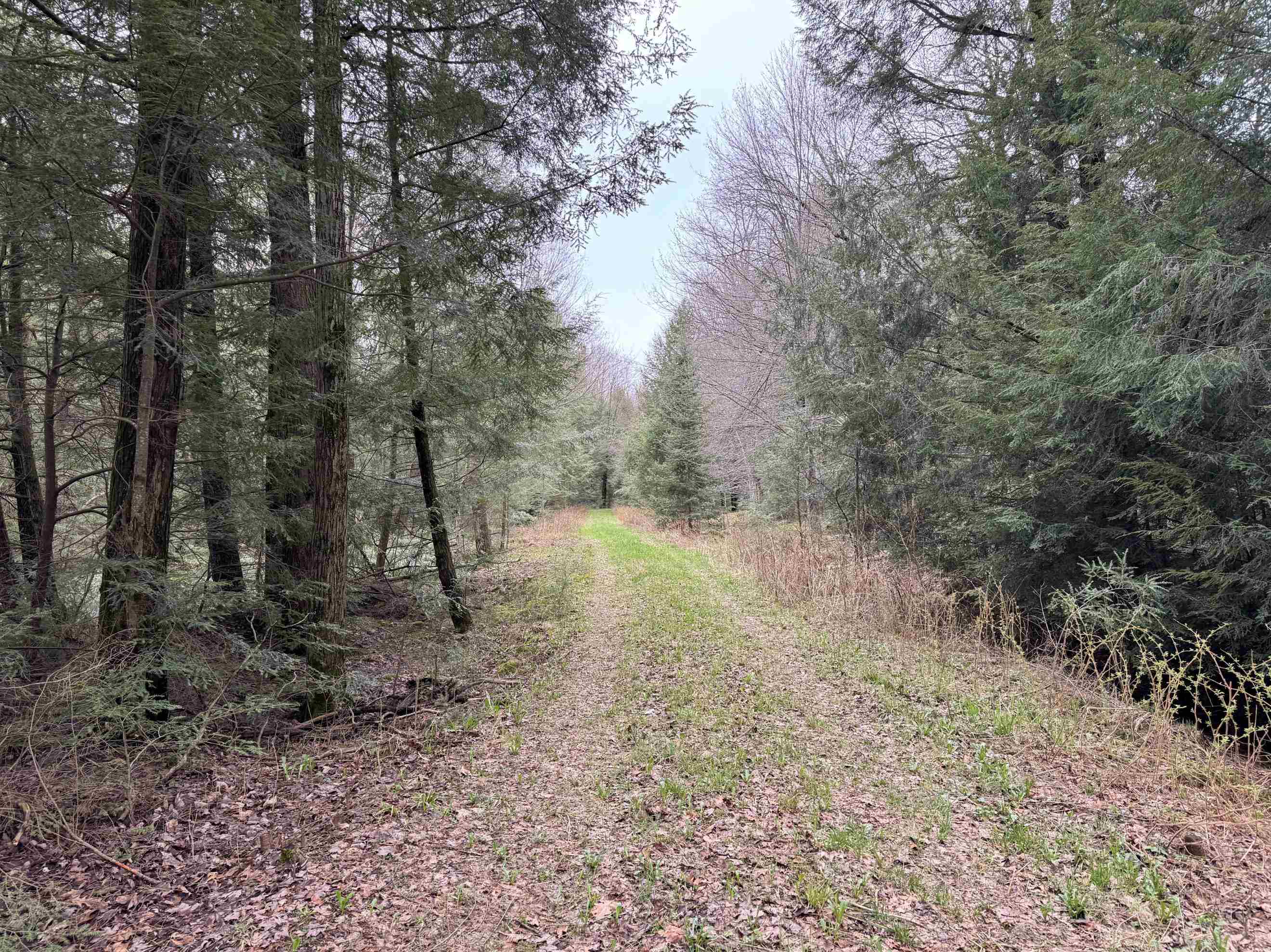 118.88 Acres on COUNTY ROAD O, Marathon, Wisconsin 54448, ,Land,For Sale,118.88 Acres on COUNTY ROAD O,22601771