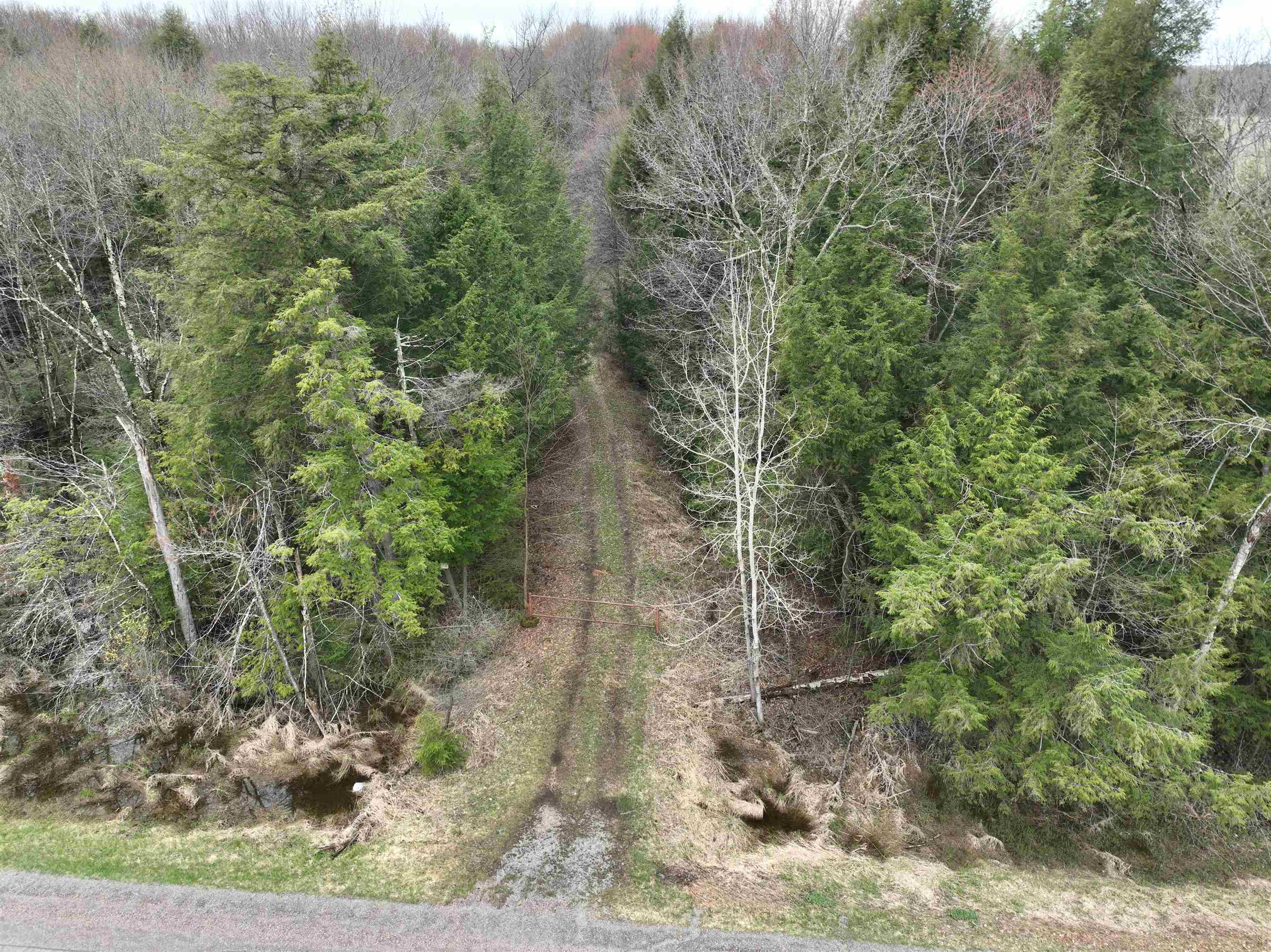 118.88 Acres on COUNTY ROAD O, Marathon, Wisconsin 54448, ,Land,For Sale,118.88 Acres on COUNTY ROAD O,22601771