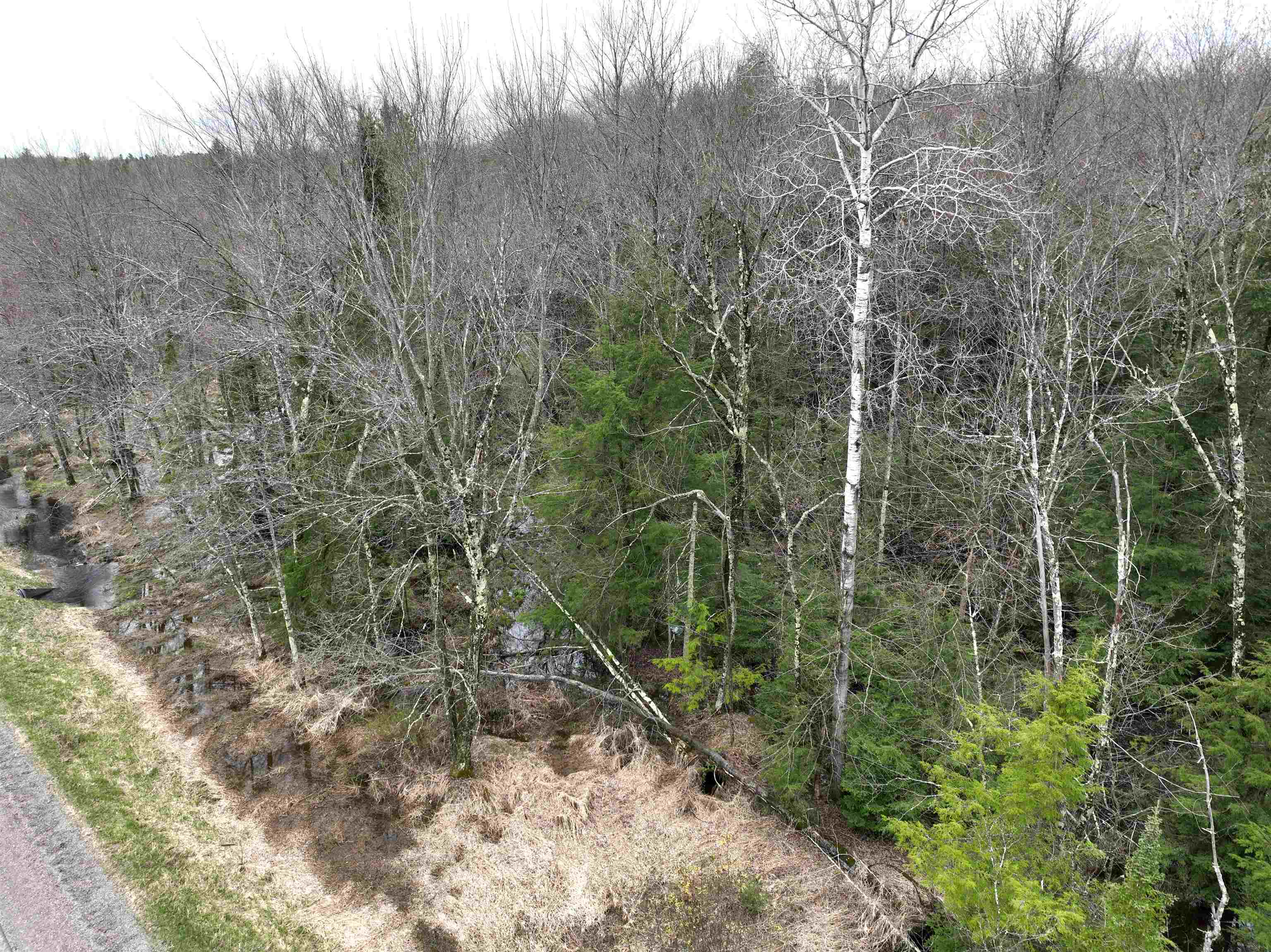118.88 Acres on COUNTY ROAD O, Marathon, Wisconsin 54448, ,Land,For Sale,118.88 Acres on COUNTY ROAD O,22601771