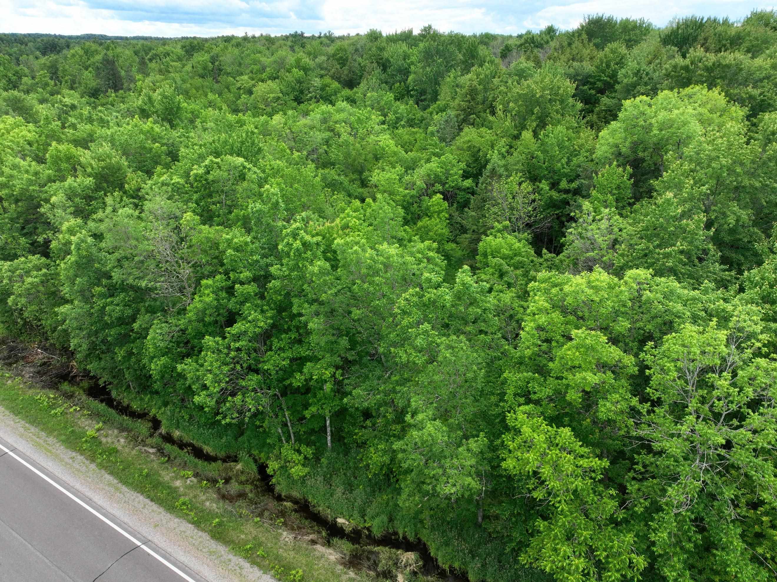 118.88 Acres on COUNTY ROAD O, Marathon, Wisconsin 54448, ,Land,For Sale,118.88 Acres on COUNTY ROAD O,22601771