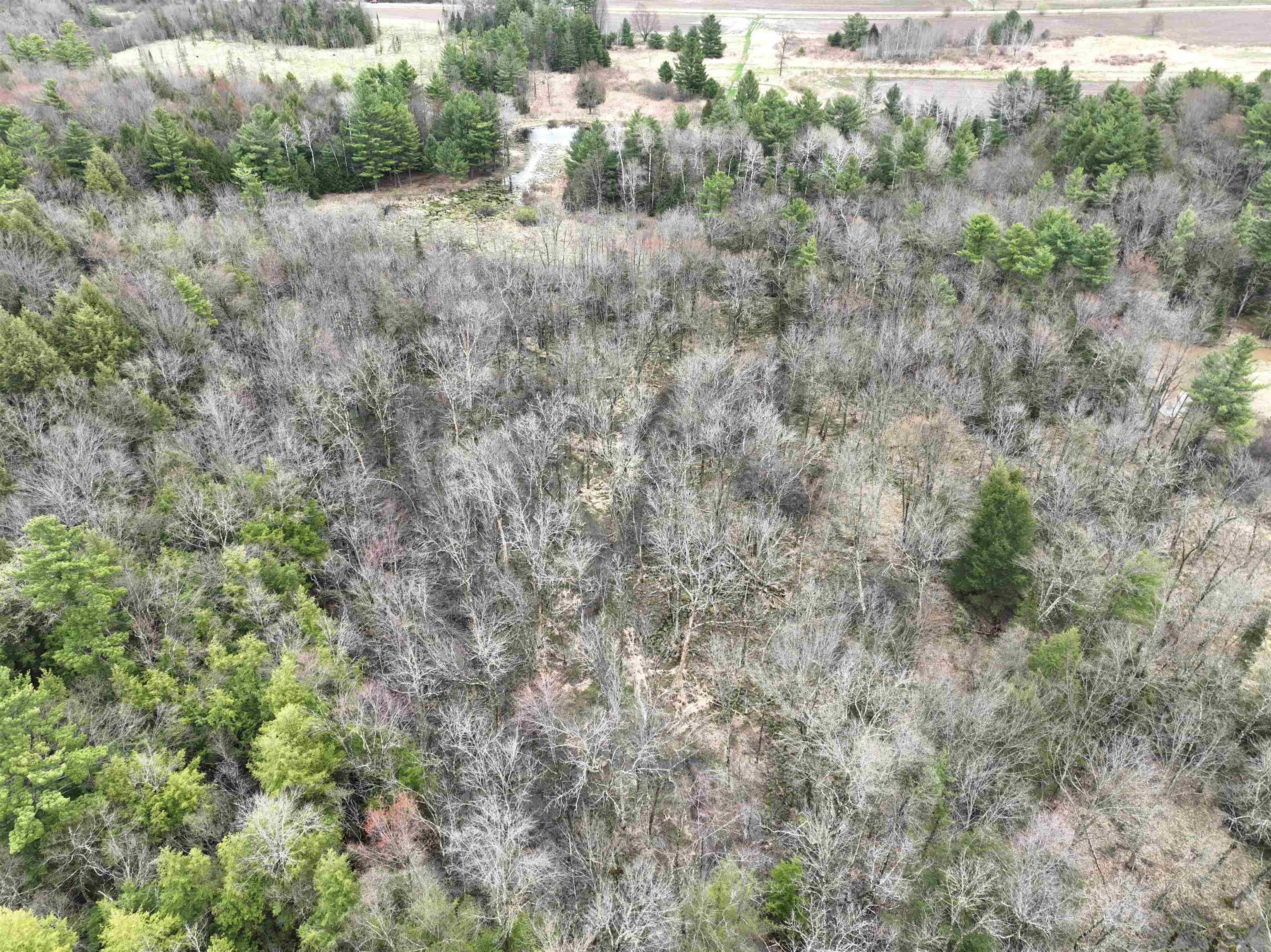118.88 Acres on COUNTY ROAD O, Marathon, Wisconsin 54448, ,Land,For Sale,118.88 Acres on COUNTY ROAD O,22601771