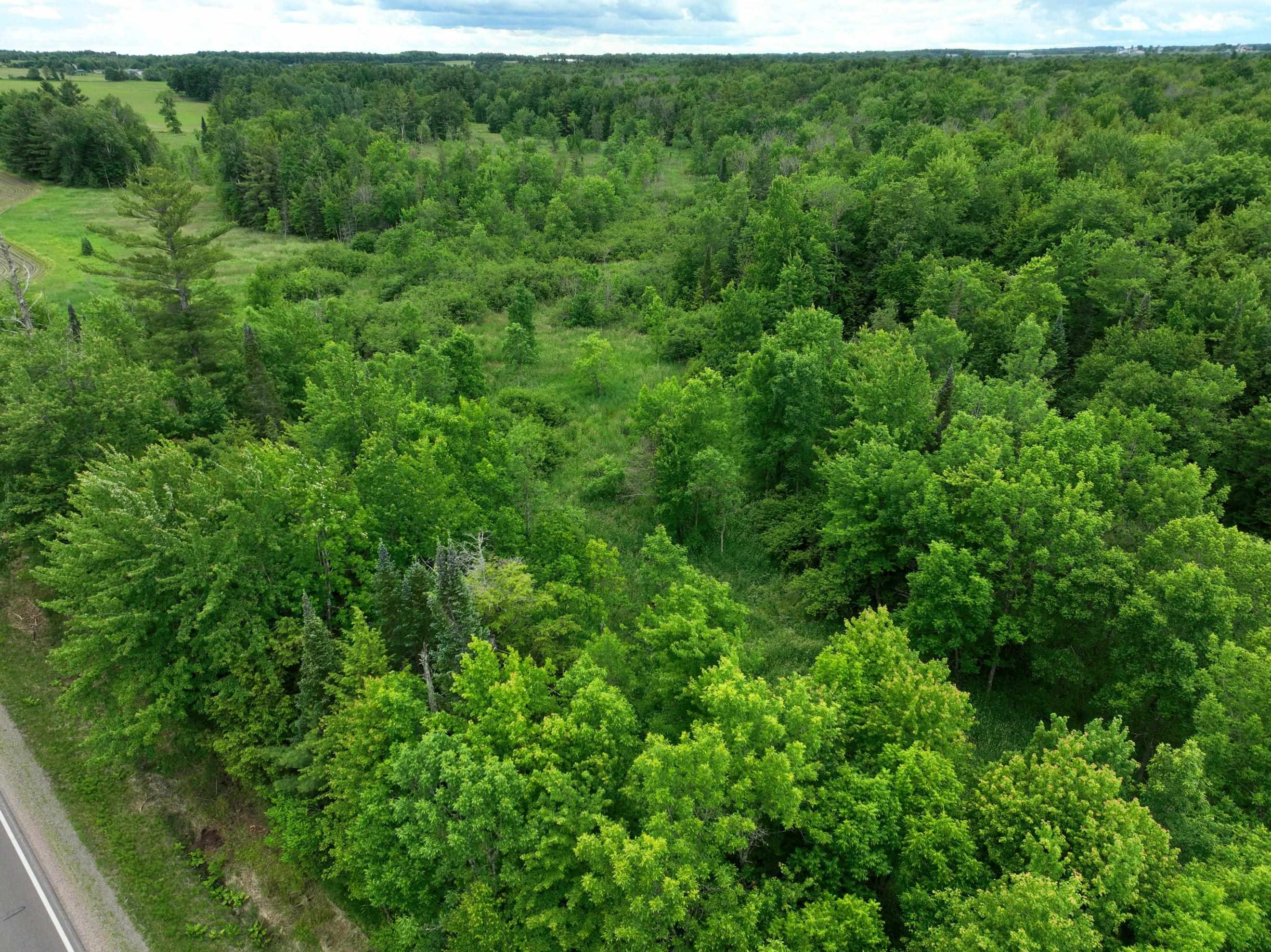 118.88 Acres on COUNTY ROAD O, Marathon, Wisconsin 54448, ,Land,For Sale,118.88 Acres on COUNTY ROAD O,22601771