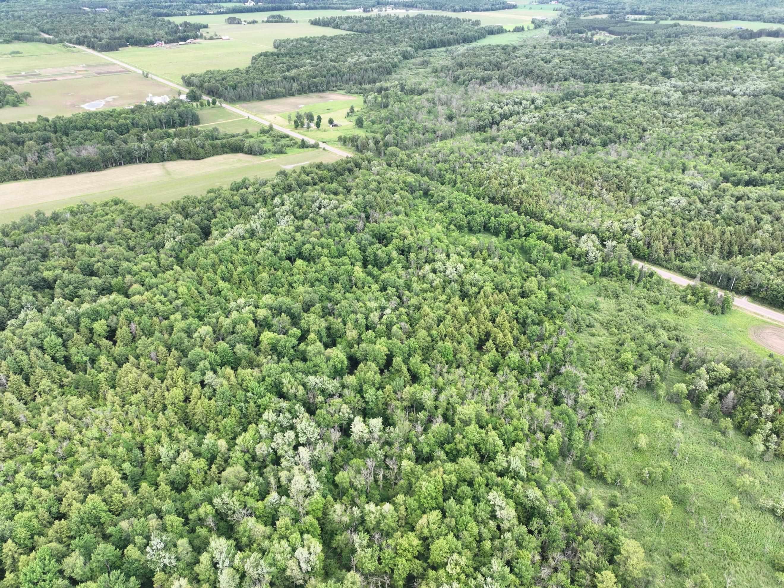 118.88 Acres on COUNTY ROAD O, Marathon, Wisconsin 54448, ,Land,For Sale,118.88 Acres on COUNTY ROAD O,22601771