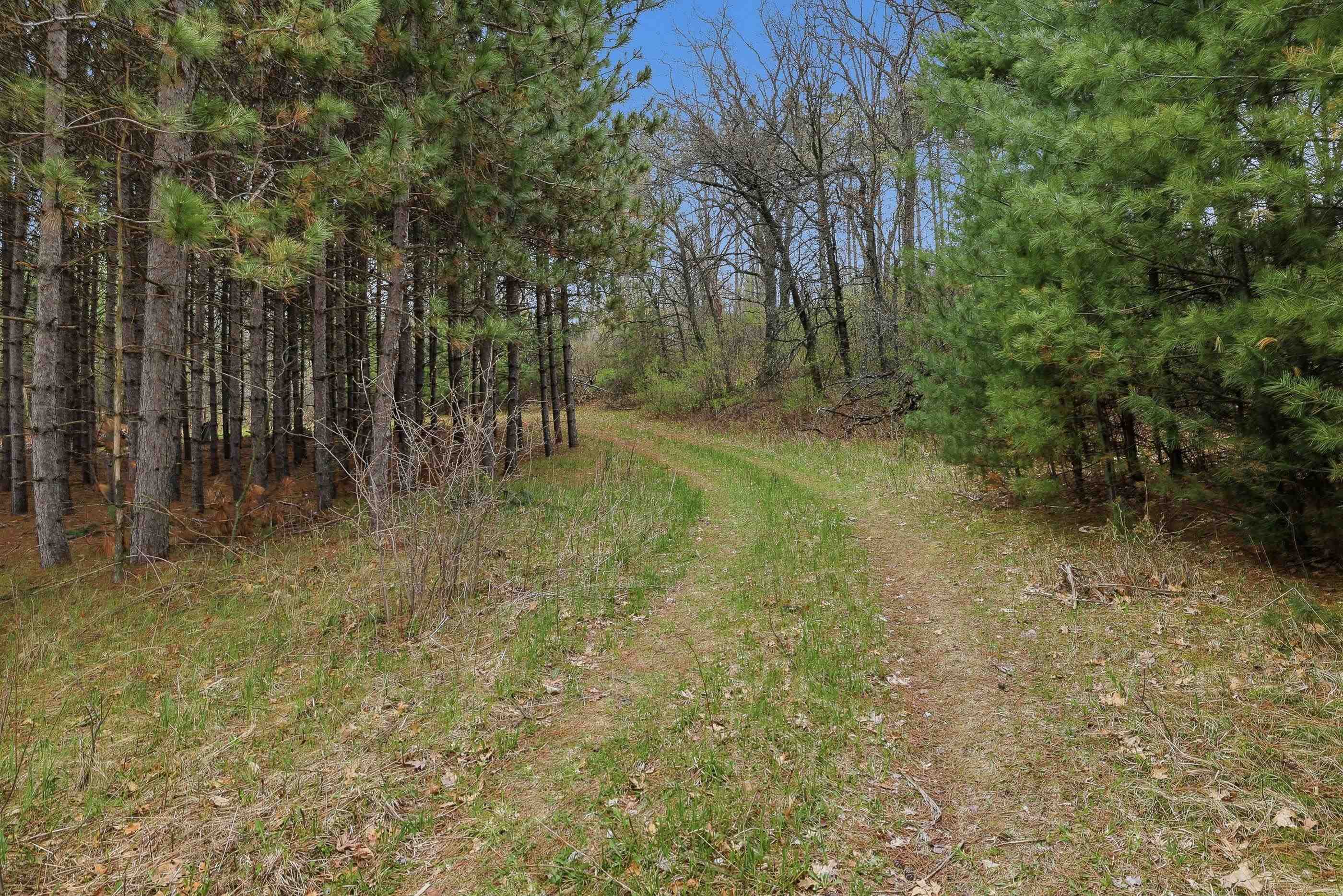 000 COUNTY ROAD J NORTH, Rosholt, Wisconsin 54473, ,Land,For Sale,000 COUNTY ROAD J NORTH,22601825