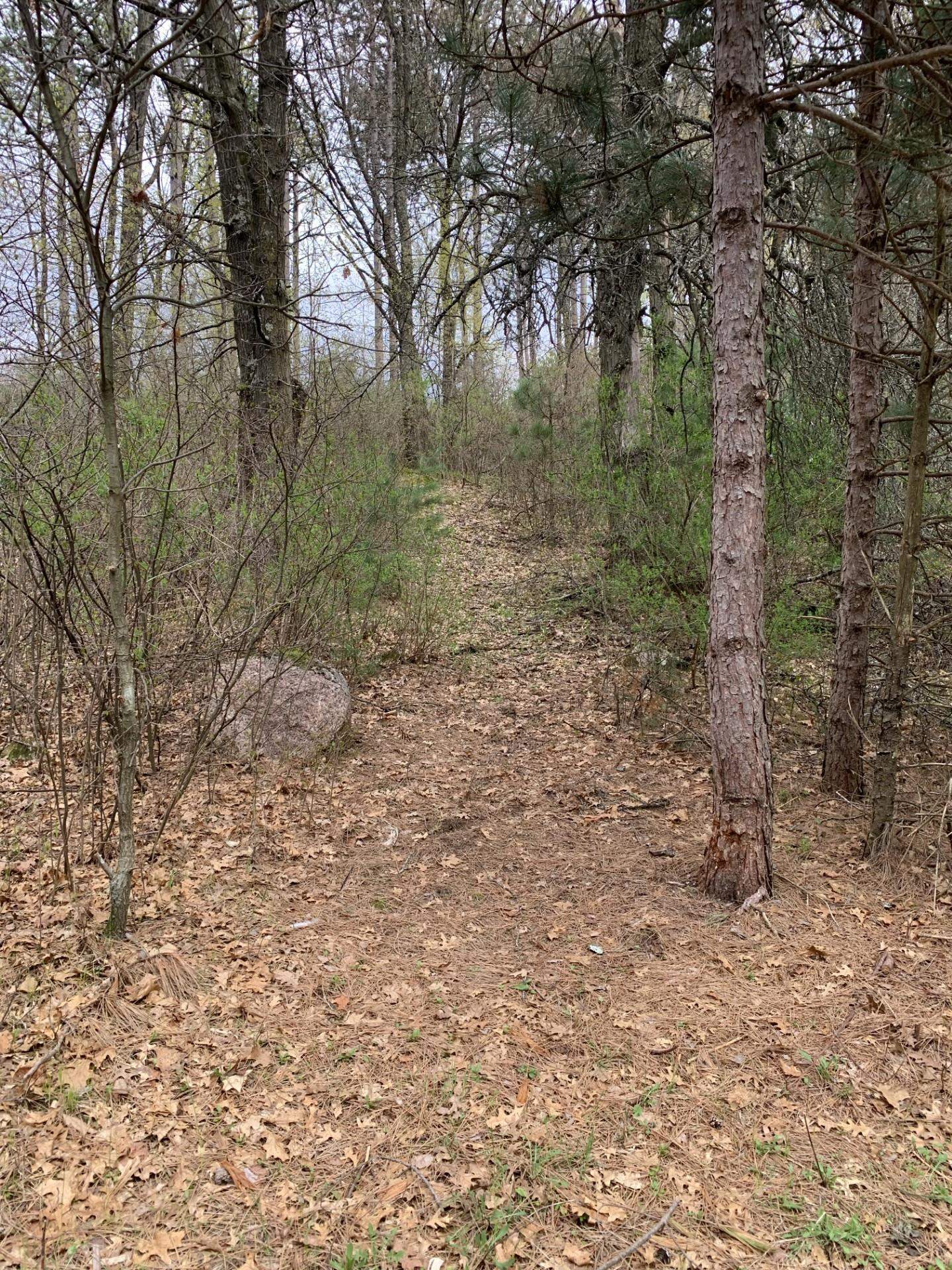 000 COUNTY ROAD J NORTH, Rosholt, Wisconsin 54473, ,Land,For Sale,000 COUNTY ROAD J NORTH,22601825