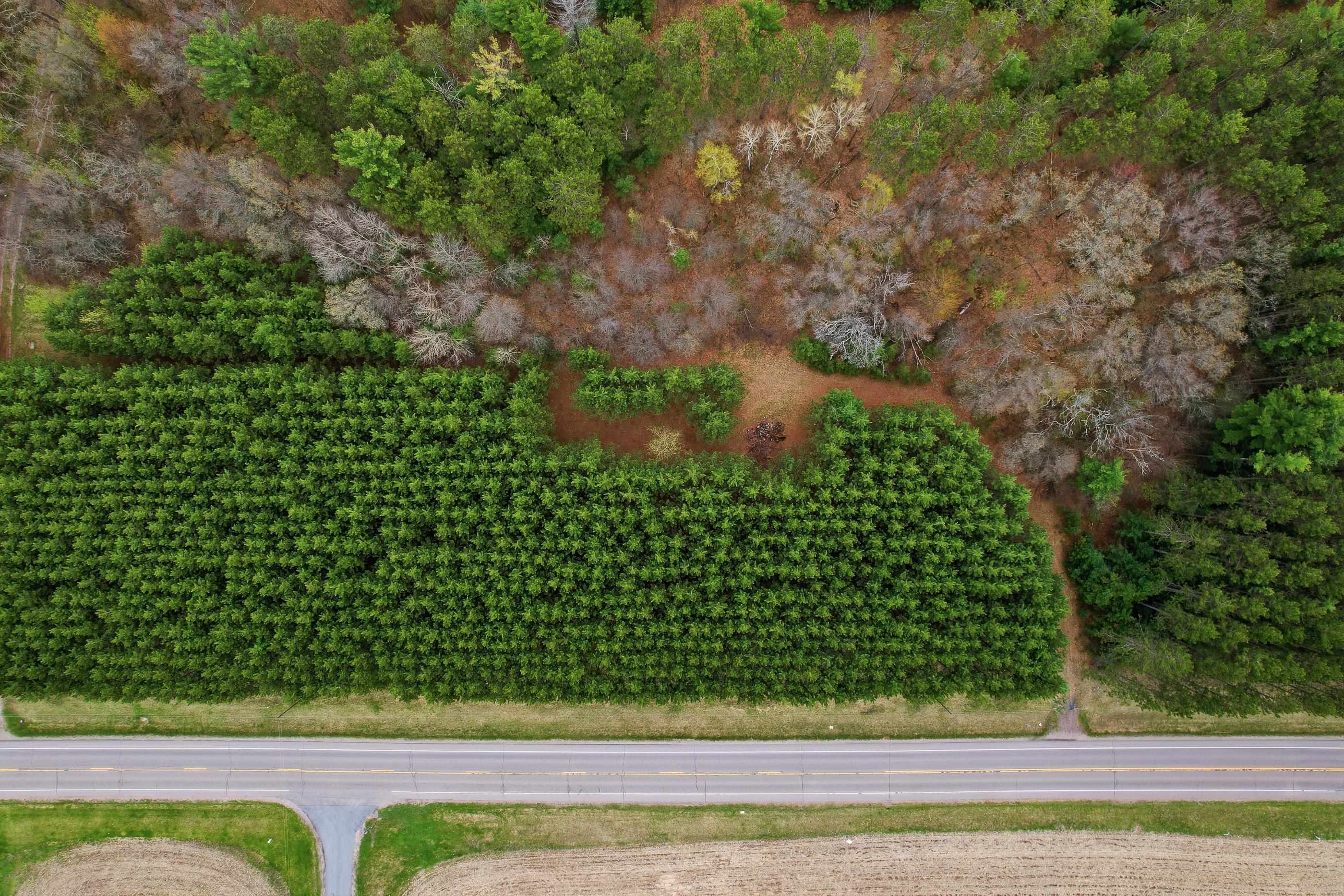 000 COUNTY ROAD J NORTH, Rosholt, Wisconsin 54473, ,Land,For Sale,000 COUNTY ROAD J NORTH,22601825