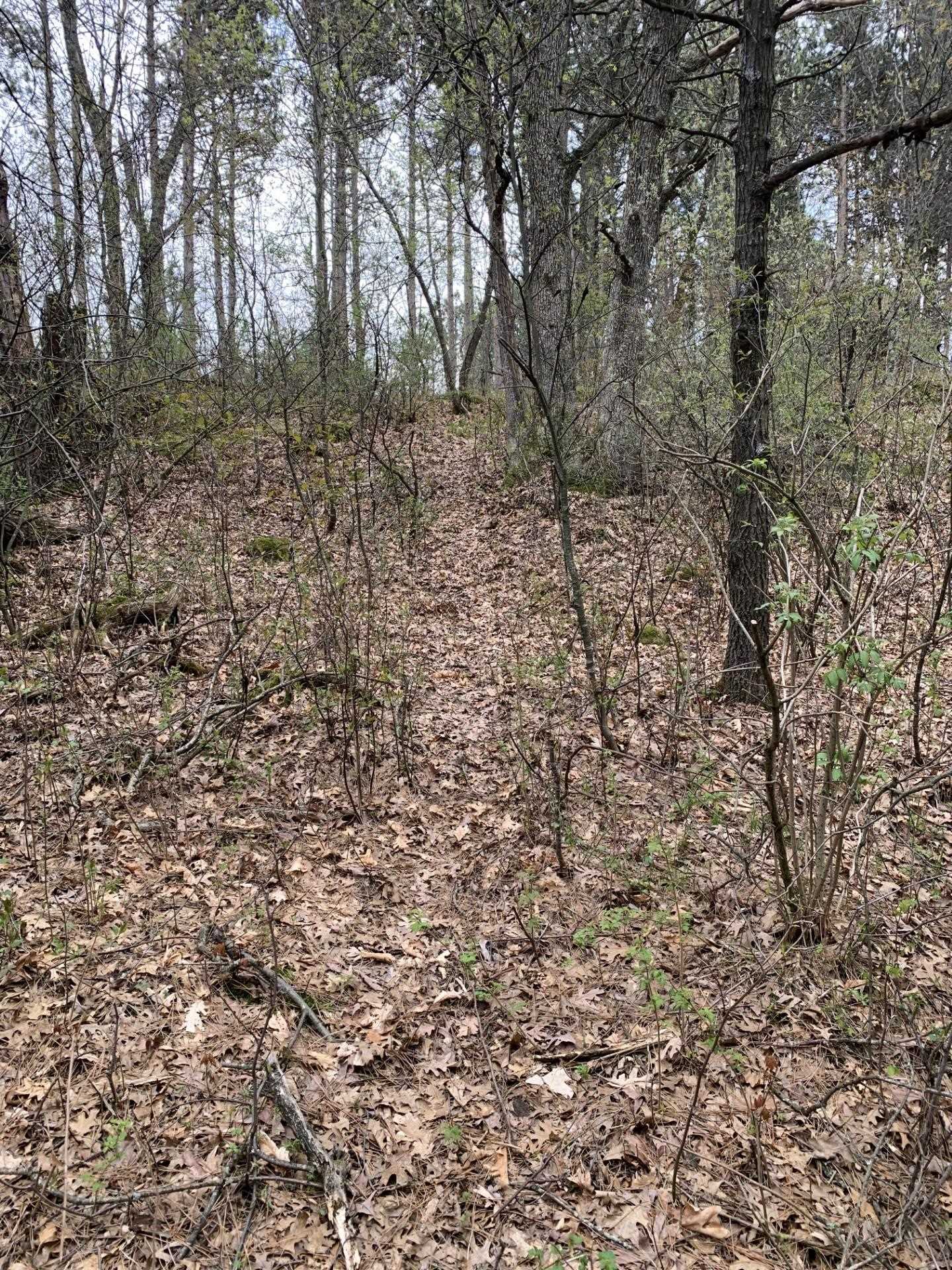 000 COUNTY ROAD J NORTH, Rosholt, Wisconsin 54473, ,Land,For Sale,000 COUNTY ROAD J NORTH,22601825