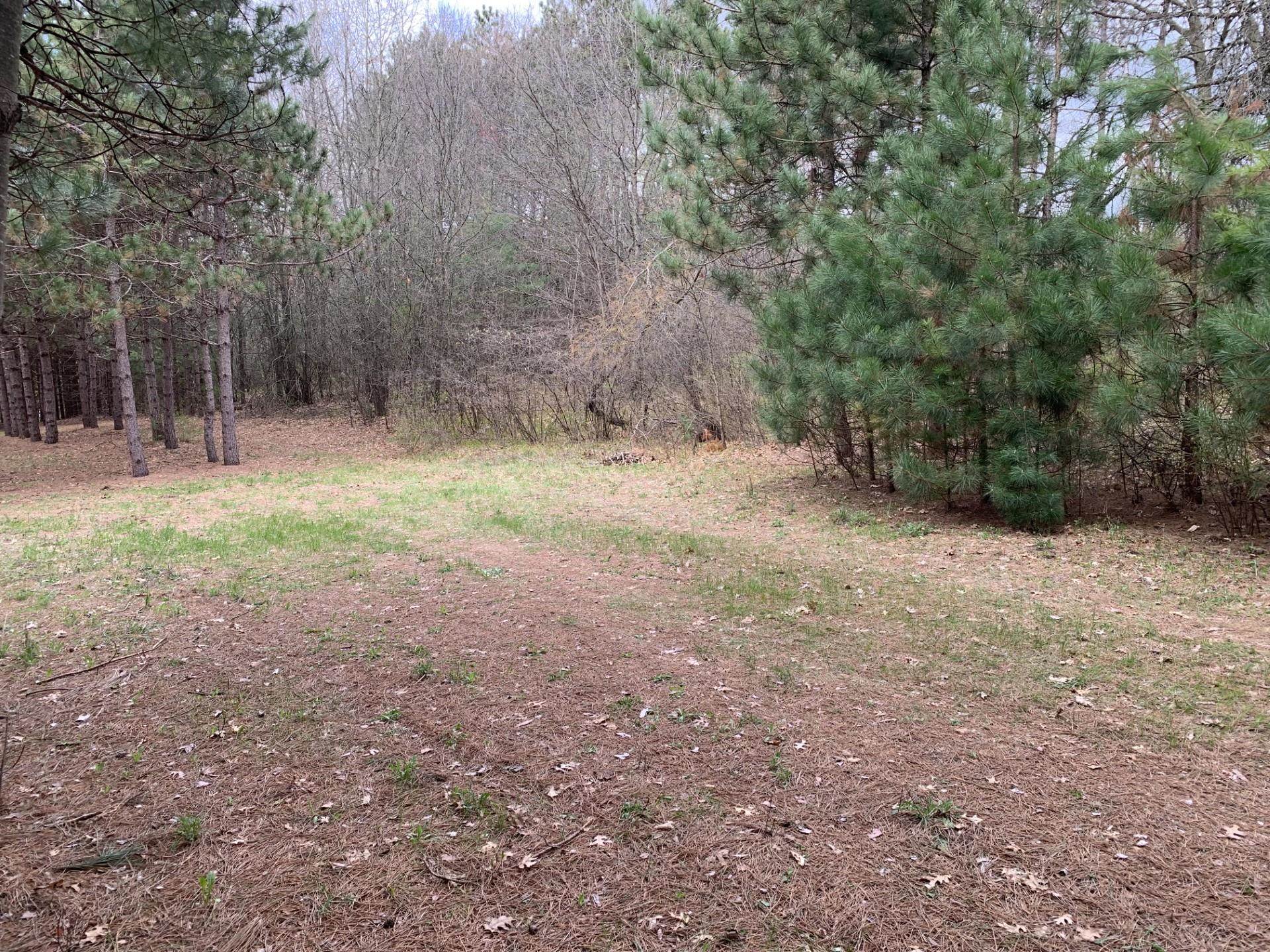 000 COUNTY ROAD J NORTH, Rosholt, Wisconsin 54473, ,Land,For Sale,000 COUNTY ROAD J NORTH,22601825
