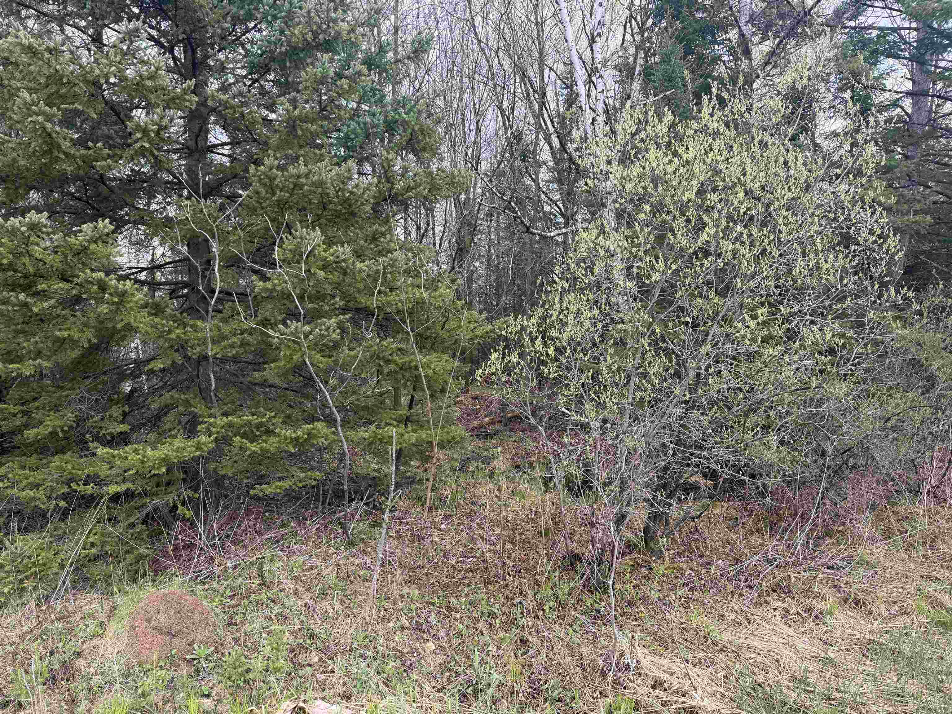 1 acre MOL MERRILL AVENUE, Wausau, Wisconsin 54401, ,Land,For Sale,1 acre MOL MERRILL AVENUE,22601831