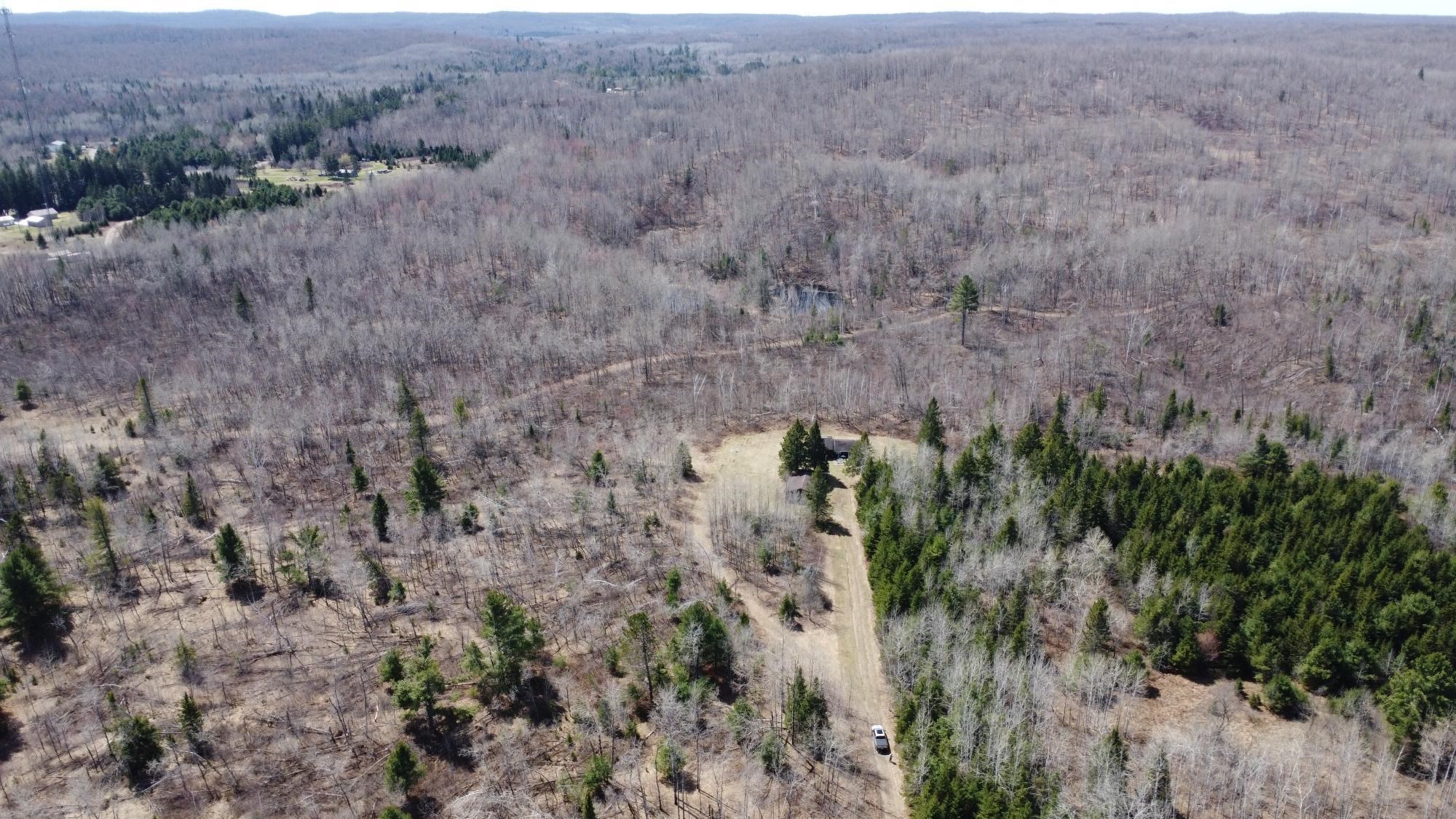 45 Acres TURTLE LAKE ROAD, Lily, Wisconsin 54491, ,Land,For Sale,45 Acres TURTLE LAKE ROAD,22601844