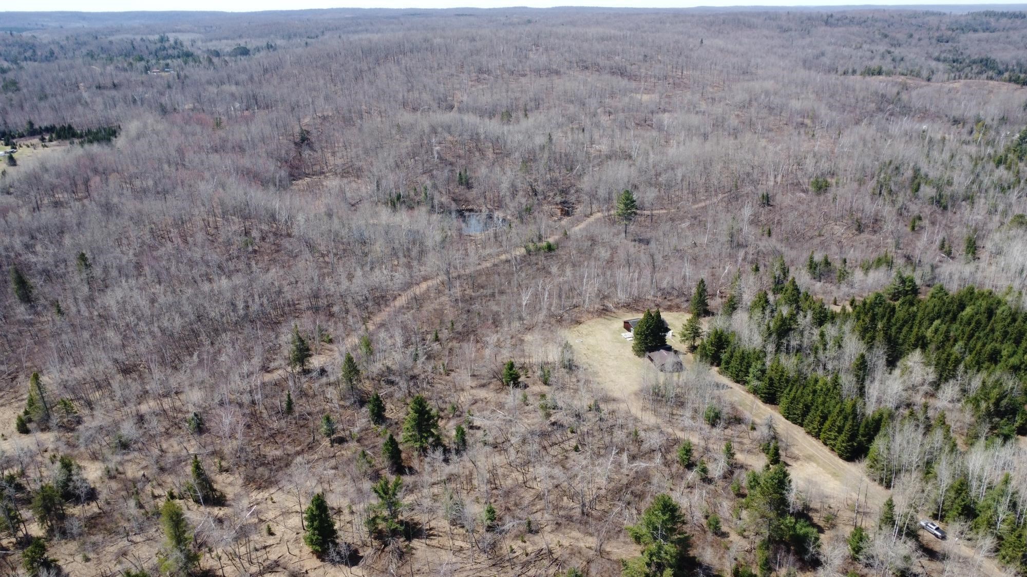 45 Acres TURTLE LAKE ROAD, Lily, Wisconsin 54491, ,Land,For Sale,45 Acres TURTLE LAKE ROAD,22601844