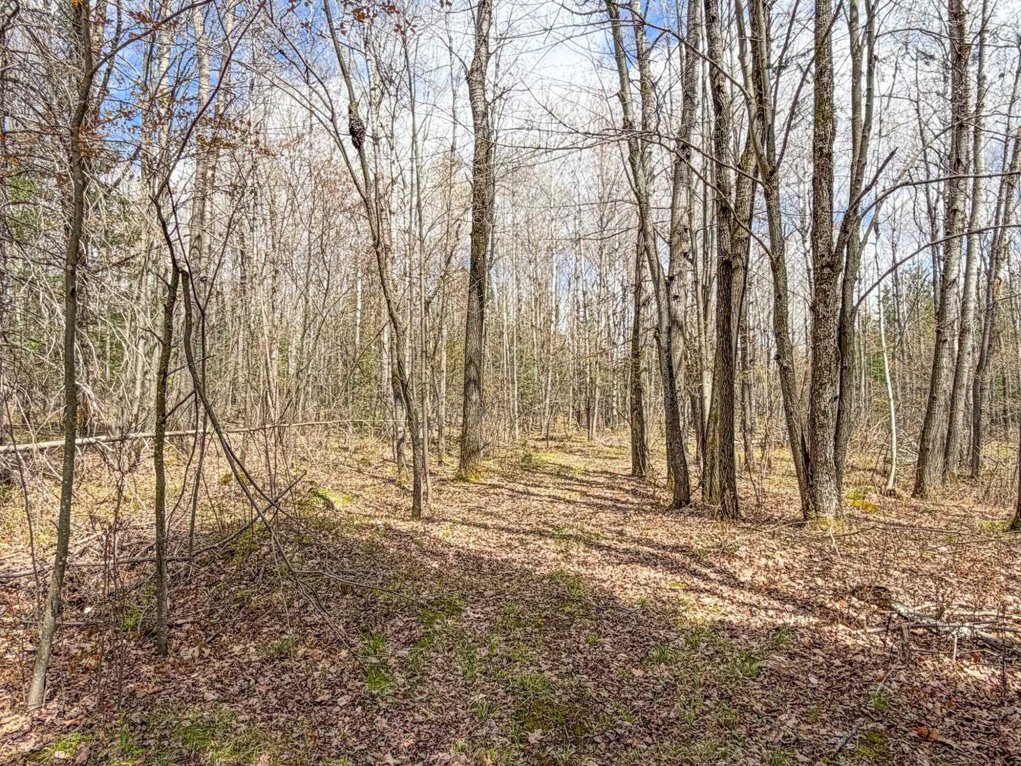 N9868 WOODLAND LANE, Phillips, Wisconsin 54555, 2 Bedrooms Bedrooms, ,1 BathroomBathrooms,Residential,For Sale,N9868 WOODLAND LANE,22601856