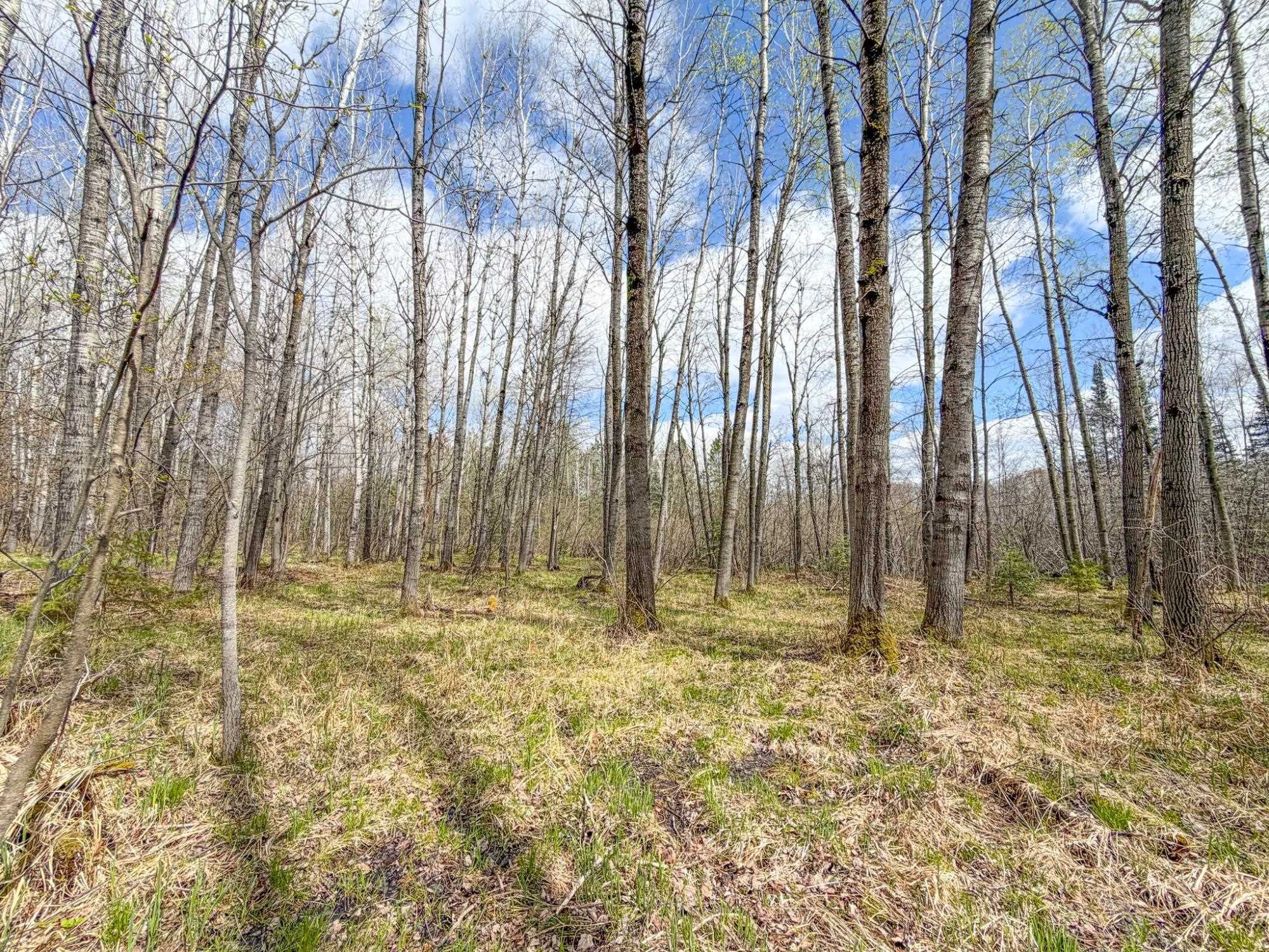 N9868 WOODLAND LANE, Phillips, Wisconsin 54555, 2 Bedrooms Bedrooms, ,1 BathroomBathrooms,Residential,For Sale,N9868 WOODLAND LANE,22601856