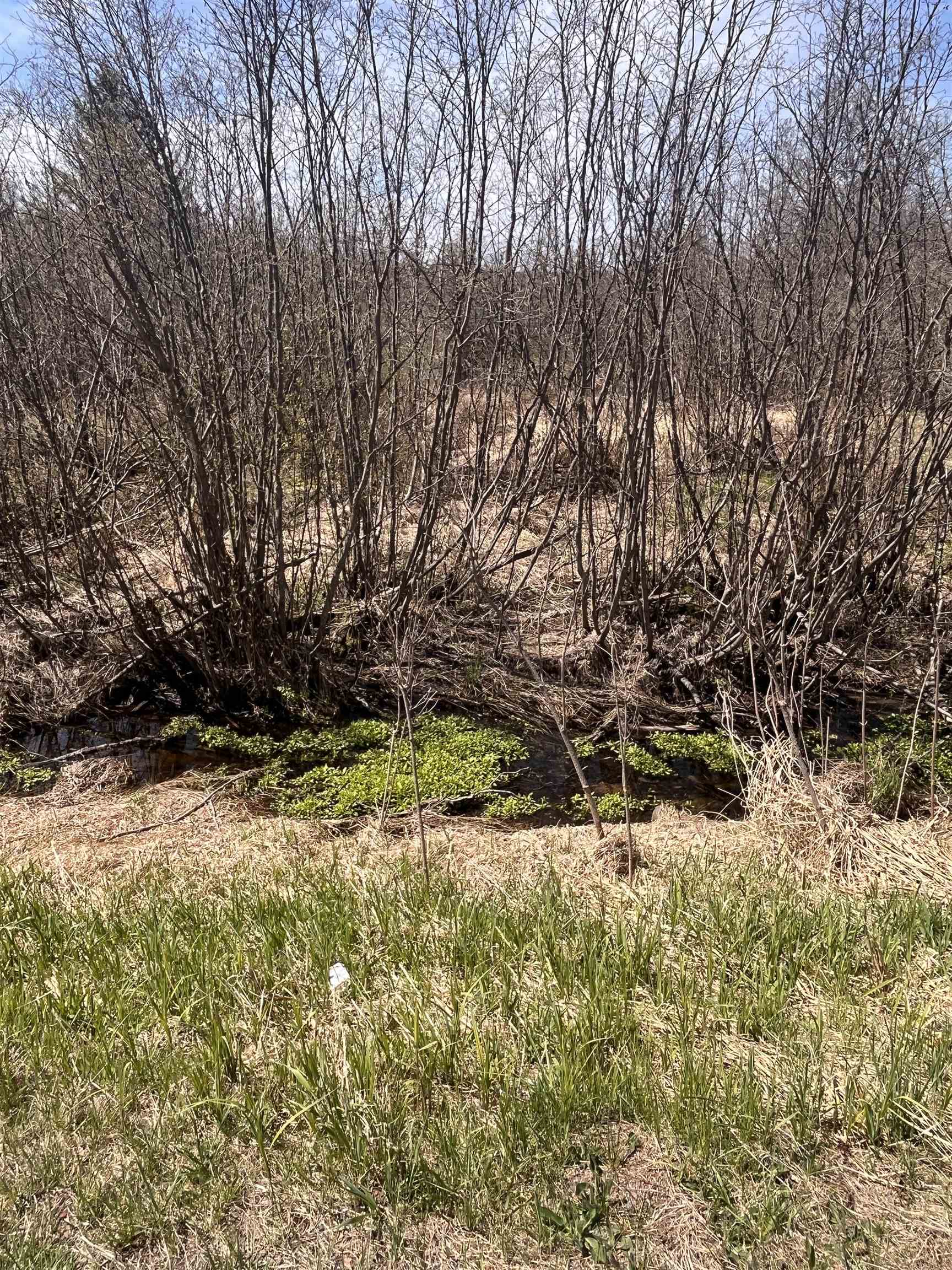 n4021 CTH C, Prentice, Wisconsin 54556, ,Land,For Sale,n4021 CTH C,22601862
