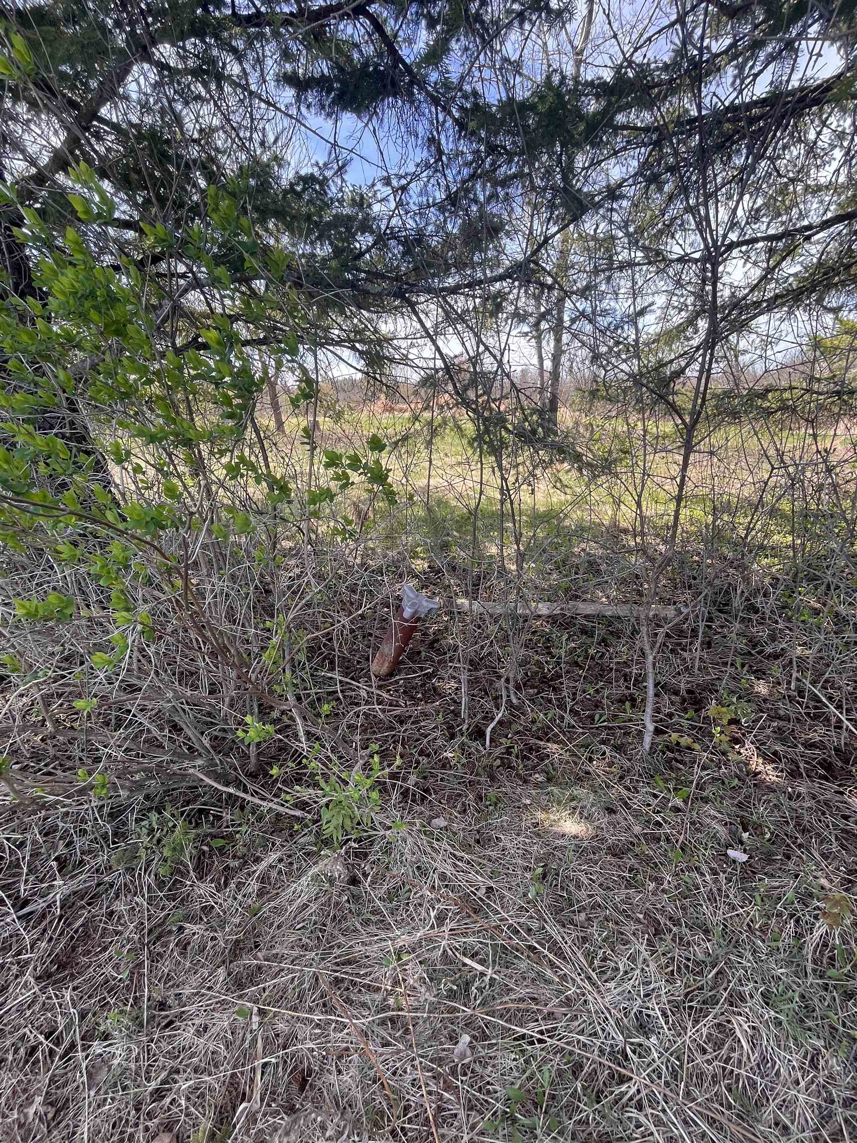 n4021 CTH C, Prentice, Wisconsin 54556, ,Land,For Sale,n4021 CTH C,22601862