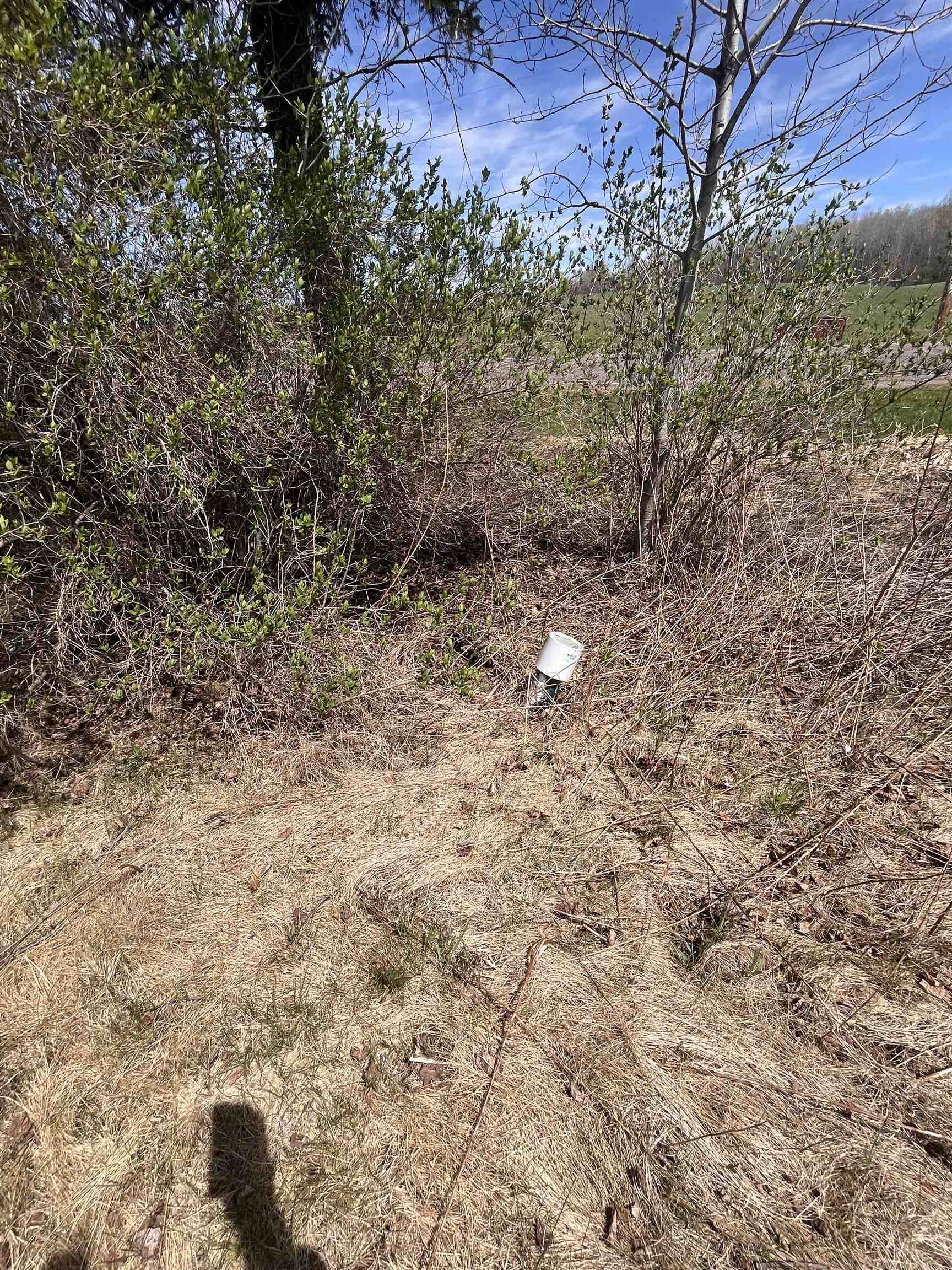 n4021 CTH C, Prentice, Wisconsin 54556, ,Land,For Sale,n4021 CTH C,22601862