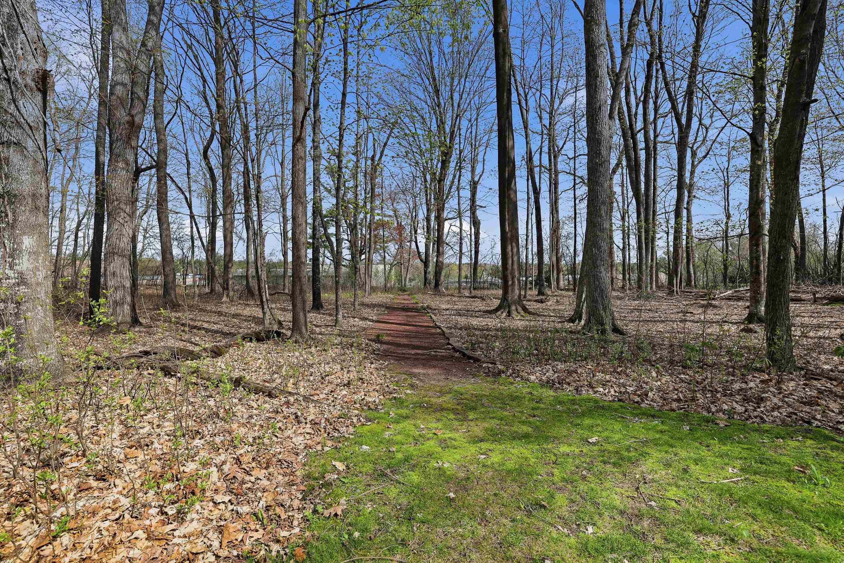 E2040 CURTIS LANE, Iola, Wisconsin 54945, 4 Bedrooms Bedrooms, ,3 BathroomsBathrooms,Residential,For Sale,E2040 CURTIS LANE,22601865