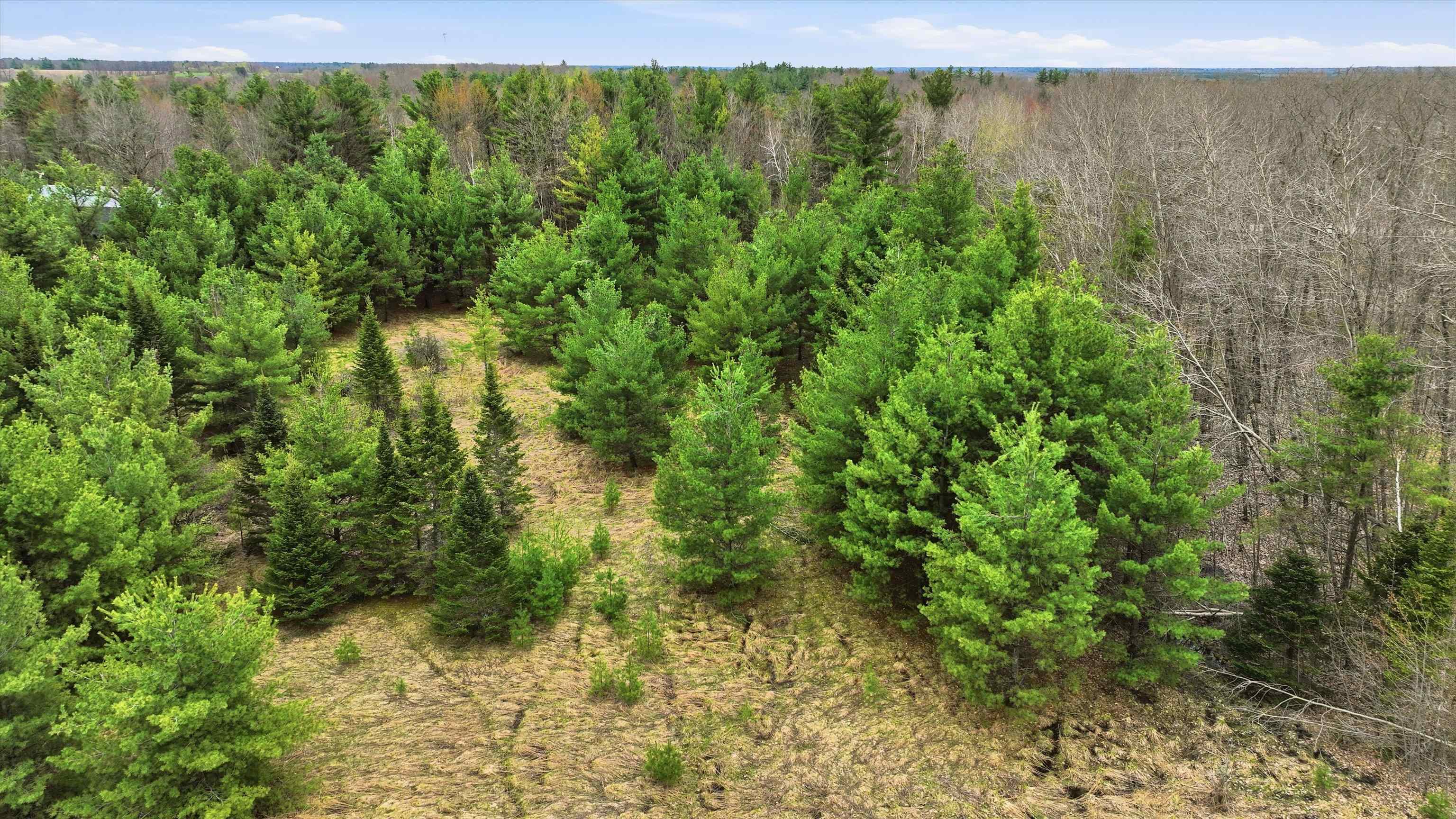 Lot 1 COUNTY ROAD DB, Mosinee, Wisconsin 54455, ,Land,For Sale,Lot 1 COUNTY ROAD DB,22601872