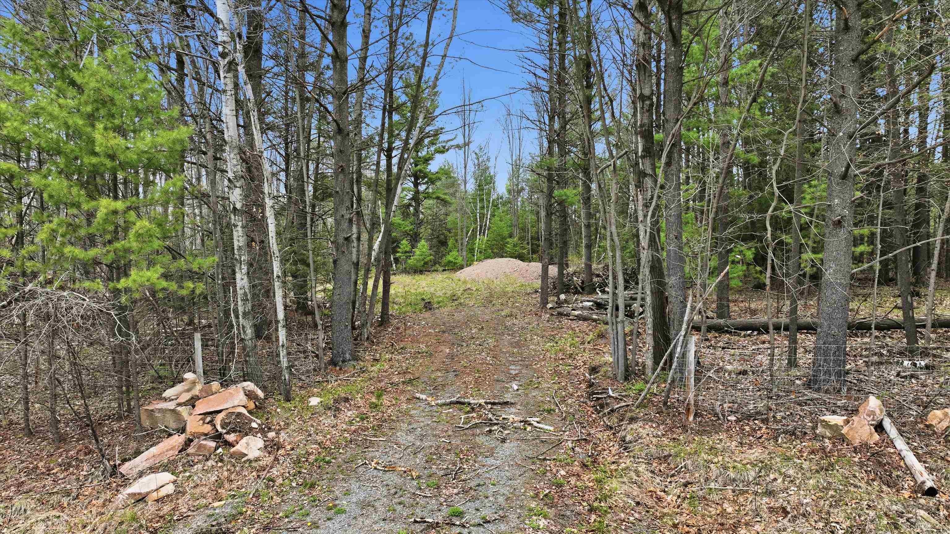 Lot 1 COUNTY ROAD DB, Mosinee, Wisconsin 54455, ,Land,For Sale,Lot 1 COUNTY ROAD DB,22601872