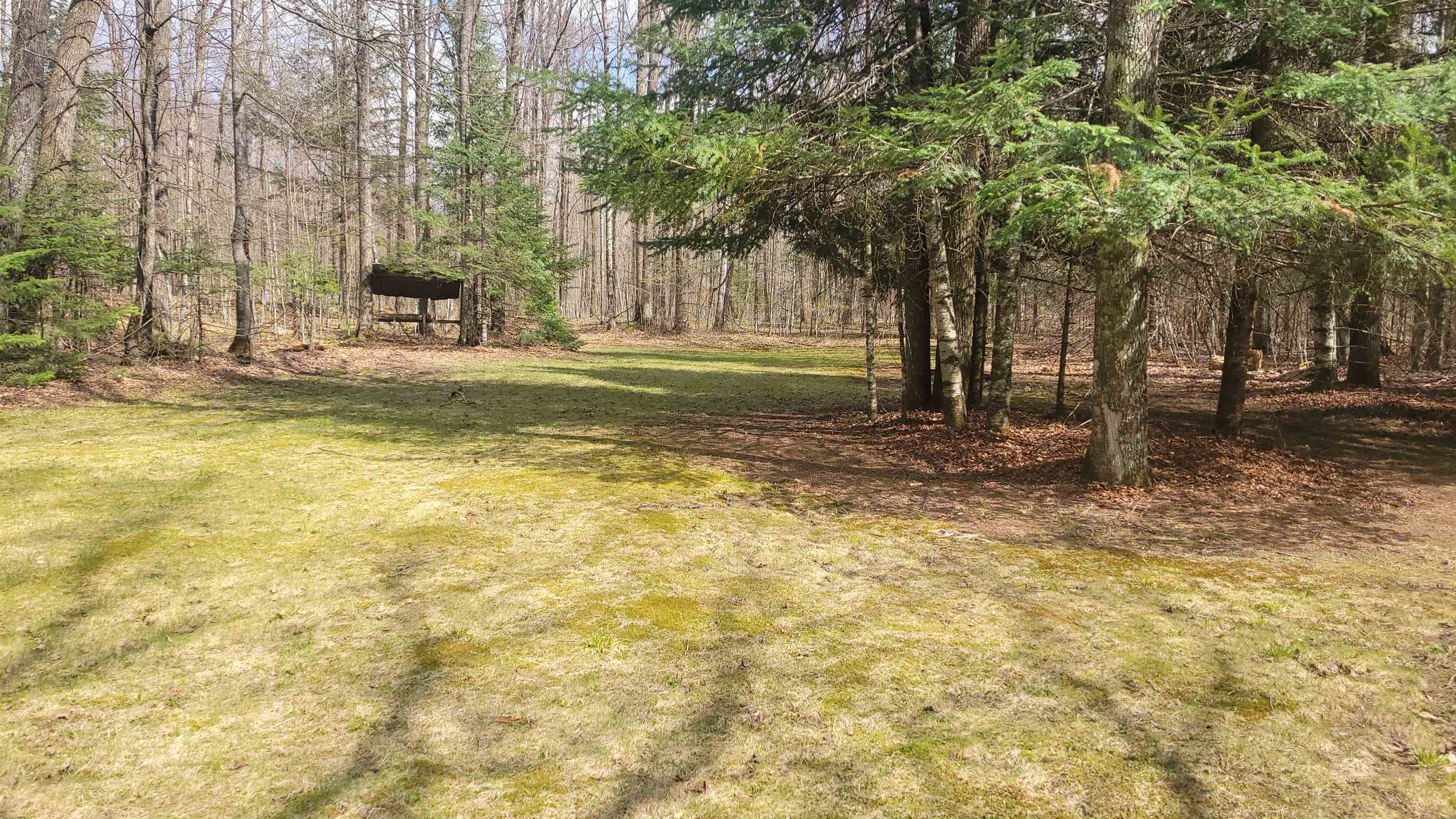 N10803 WALLEYE ROAD, Pearson, Wisconsin 54462, 2 Bedrooms Bedrooms, ,1 BathroomBathrooms,Residential,For Sale,N10803 WALLEYE ROAD,22601876