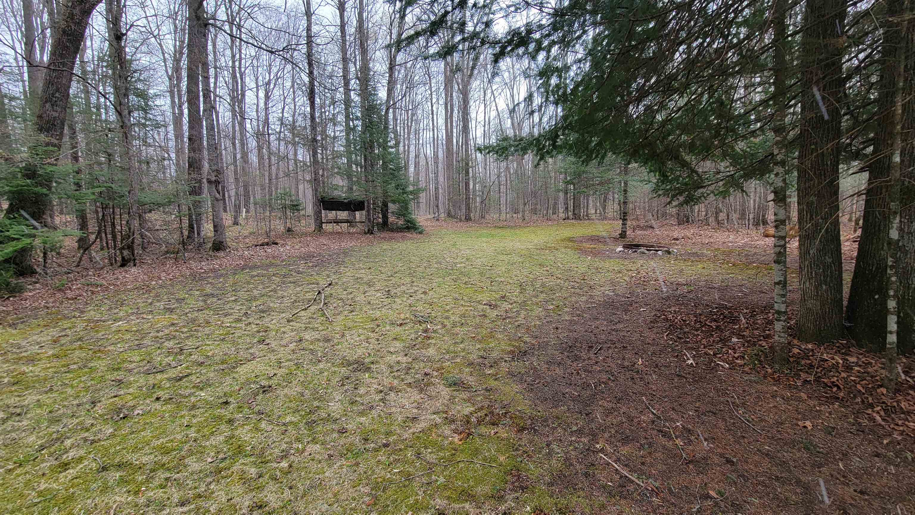N10803 WALLEYE ROAD, Pearson, Wisconsin 54462, 2 Bedrooms Bedrooms, ,1 BathroomBathrooms,Residential,For Sale,N10803 WALLEYE ROAD,22601876
