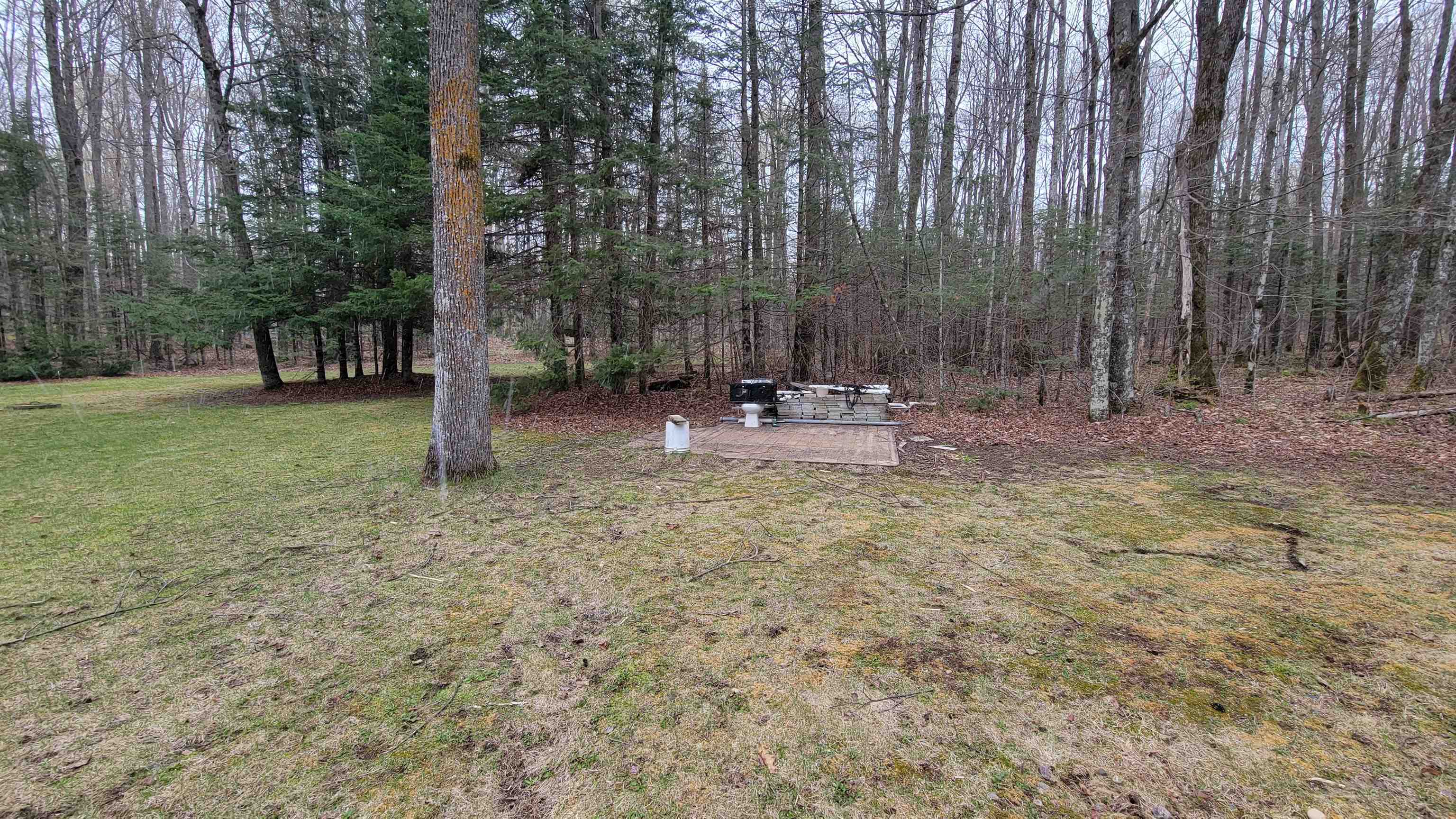 N10803 WALLEYE ROAD, Pearson, Wisconsin 54462, 2 Bedrooms Bedrooms, ,1 BathroomBathrooms,Residential,For Sale,N10803 WALLEYE ROAD,22601876