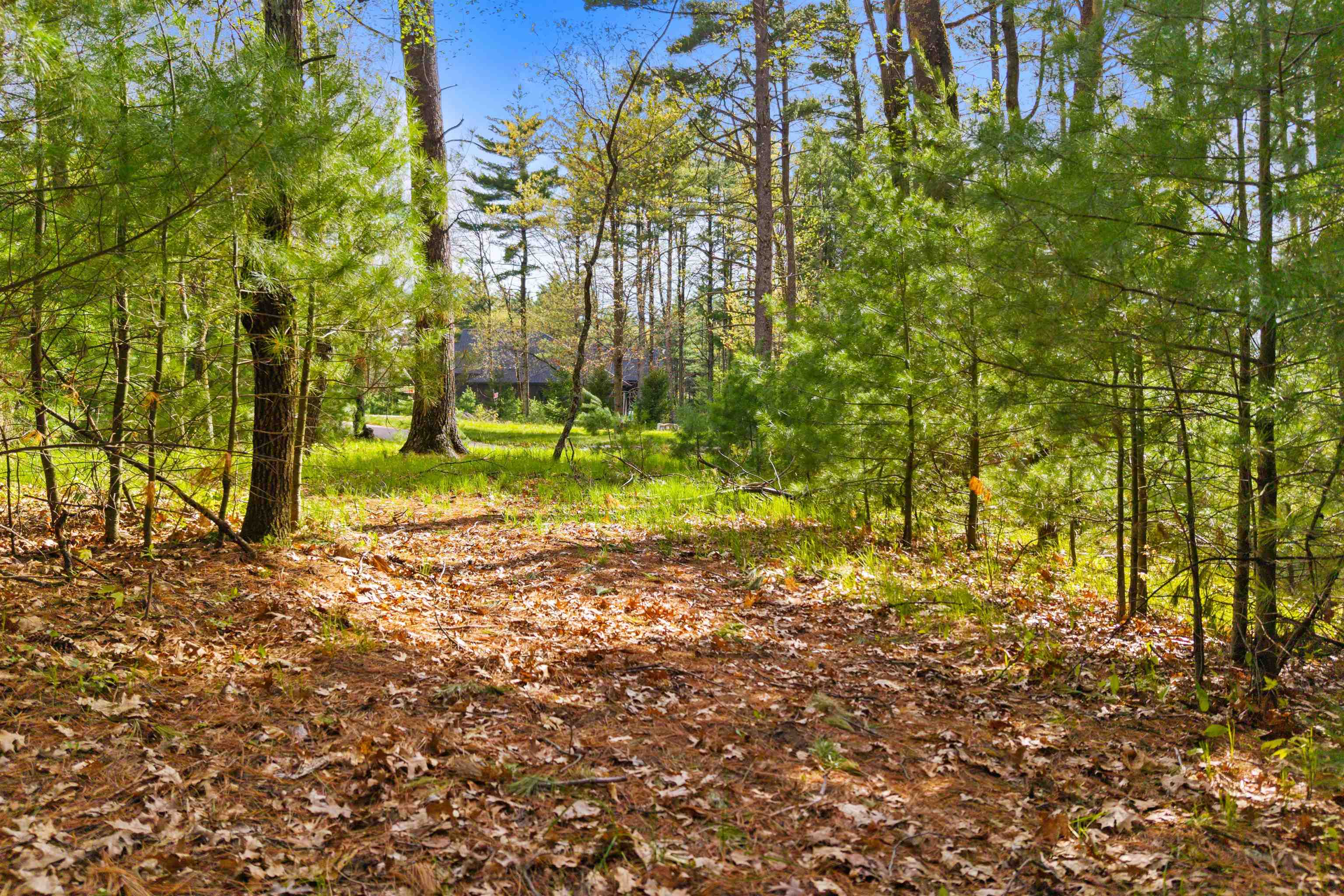 Lot 42 SOUTH BLUFF TRAIL, Wisconsin Rapids, Wisconsin 54494, ,Land,For Sale,Lot 42 SOUTH BLUFF TRAIL,22601900