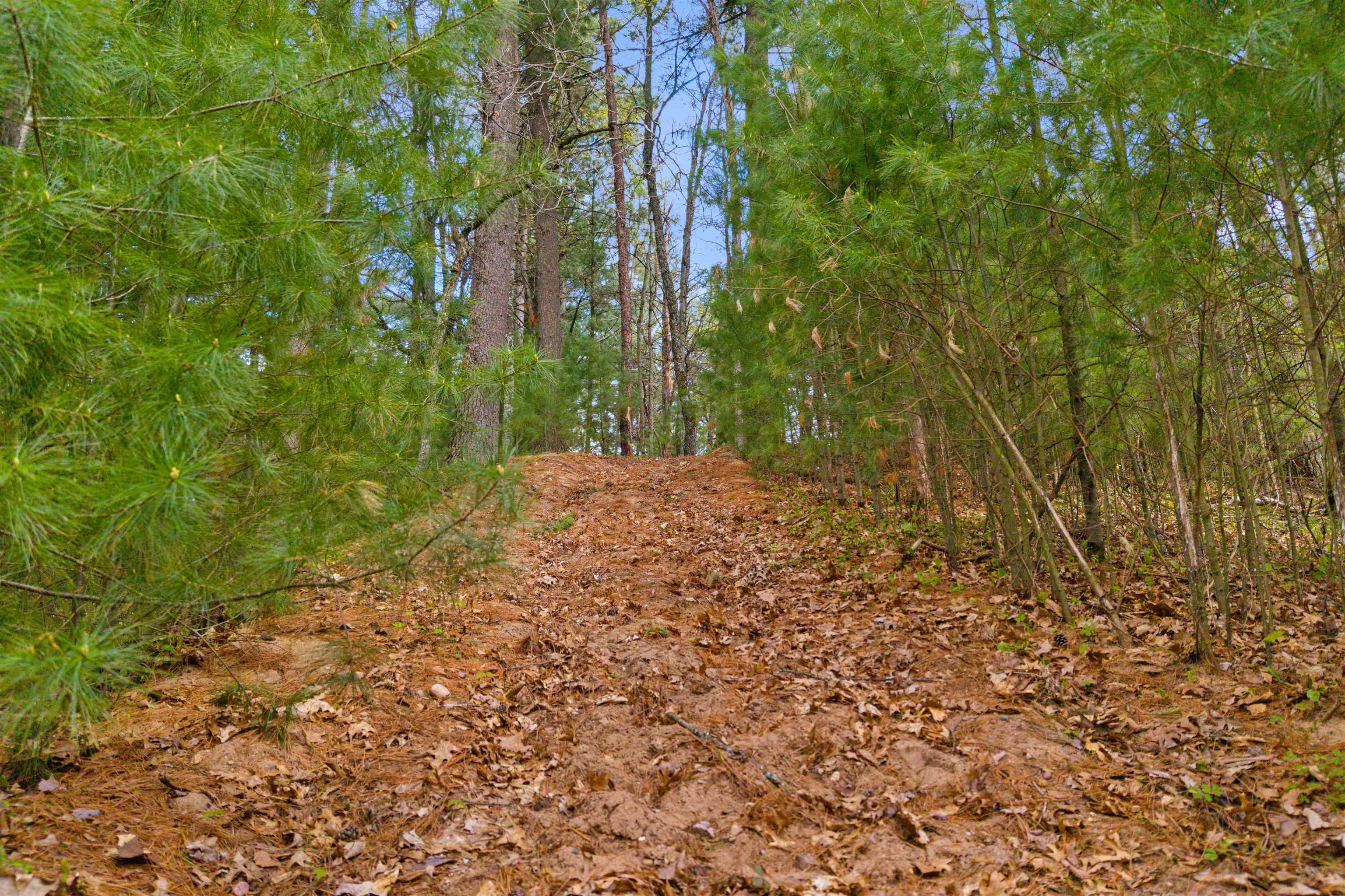 Lot 42 SOUTH BLUFF TRAIL, Wisconsin Rapids, Wisconsin 54494, ,Land,For Sale,Lot 42 SOUTH BLUFF TRAIL,22601900