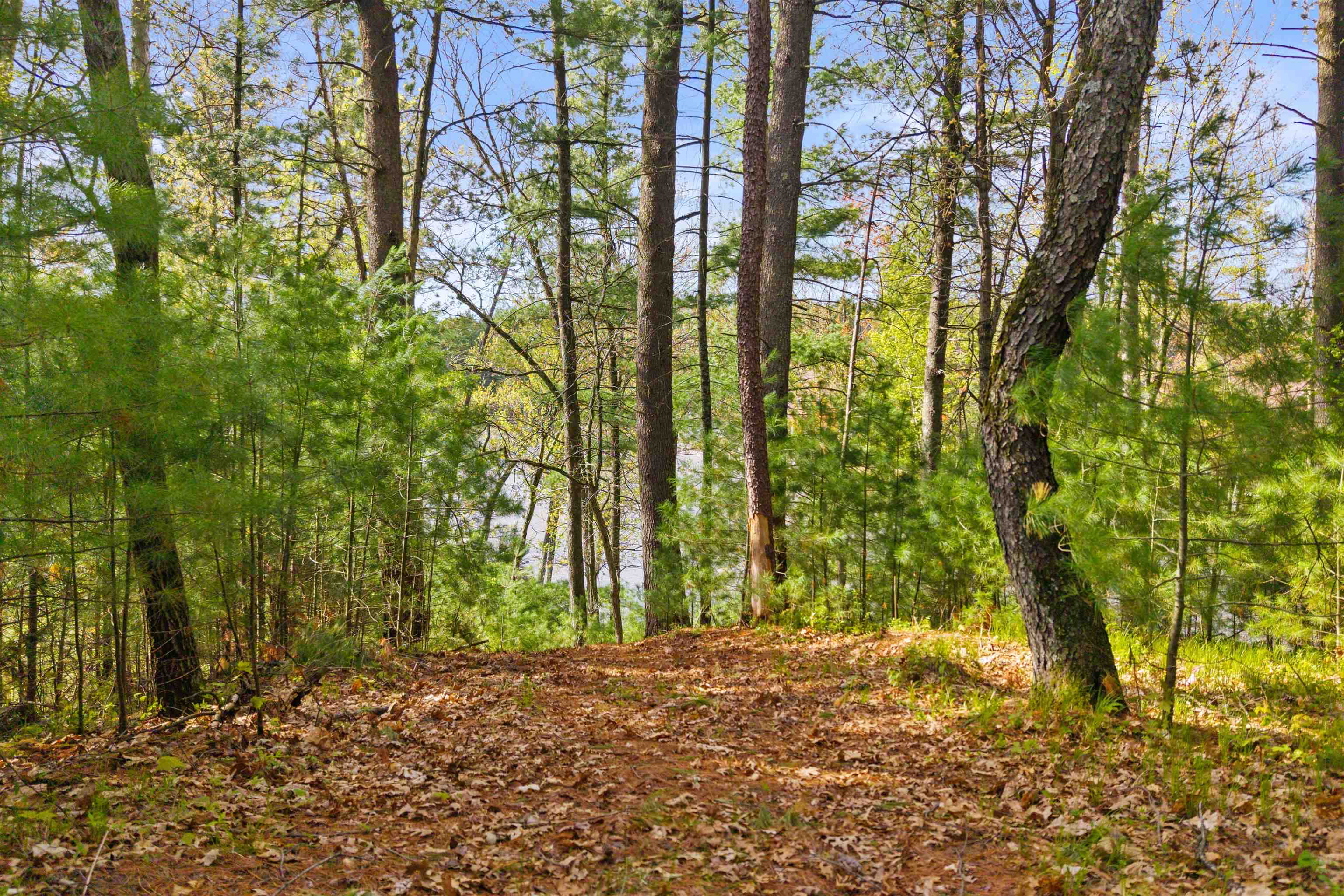 Lot 42 SOUTH BLUFF TRAIL, Wisconsin Rapids, Wisconsin 54494, ,Land,For Sale,Lot 42 SOUTH BLUFF TRAIL,22601900