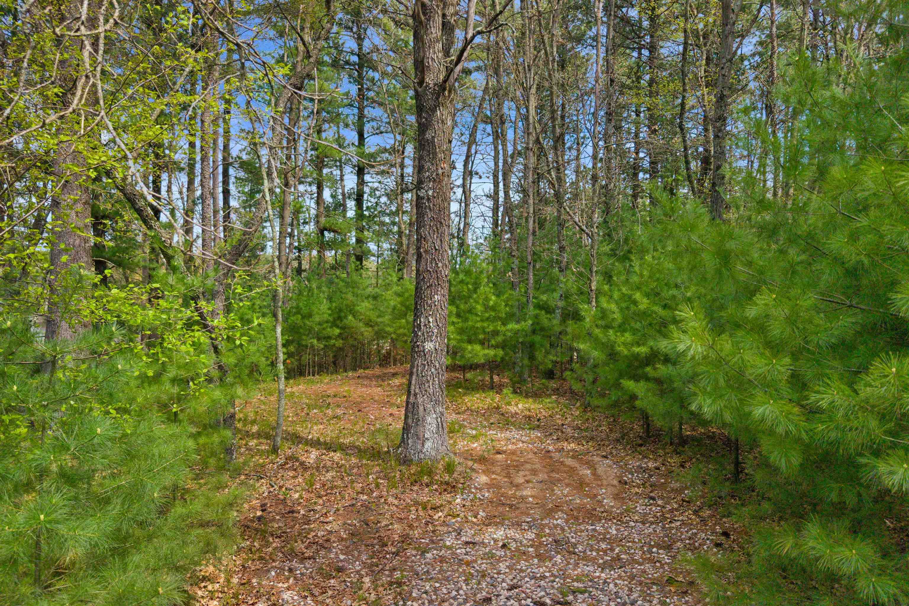 Lot 42 SOUTH BLUFF TRAIL, Wisconsin Rapids, Wisconsin 54494, ,Land,For Sale,Lot 42 SOUTH BLUFF TRAIL,22601900