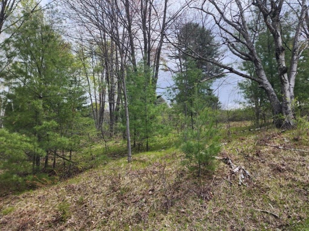 .34 Acres N 36TH AVENUE, Wausau, Wisconsin 54401, ,Land,For Sale,.34 Acres N 36TH AVENUE,22601912