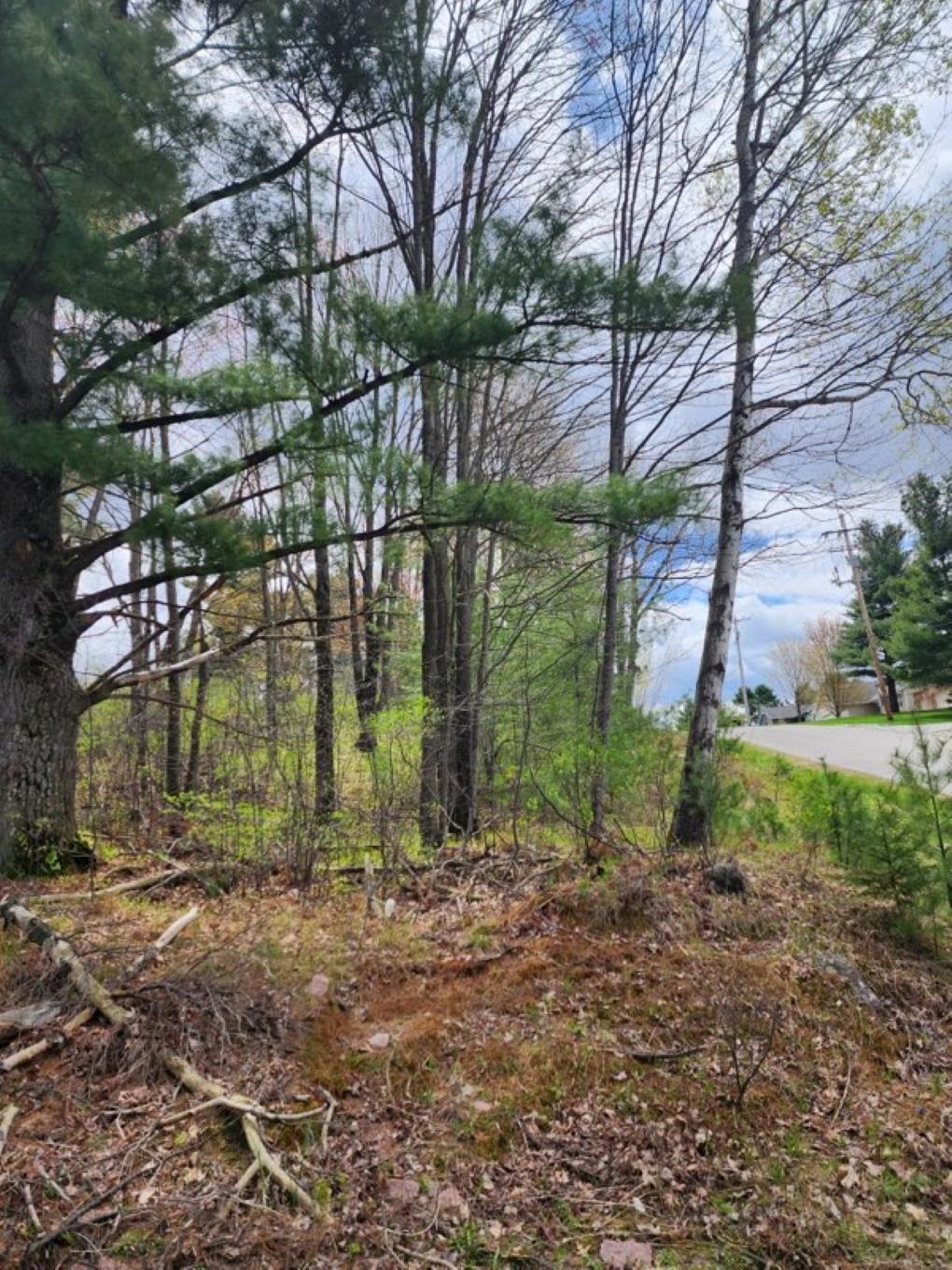 .34 Acres N 36TH AVENUE, Wausau, Wisconsin 54401, ,Land,For Sale,.34 Acres N 36TH AVENUE,22601912
