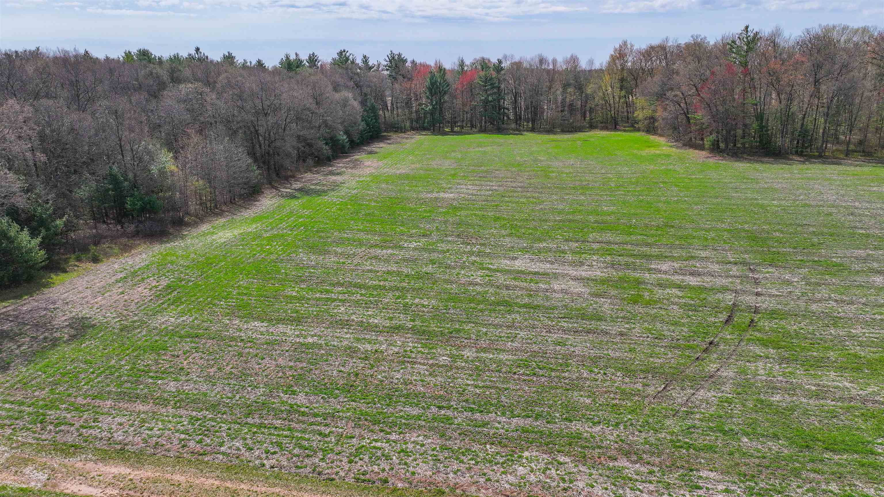 45.17 acres COUNTY ROAD Y, Custer, Wisconsin 54423, ,Land,For Sale,45.17 acres COUNTY ROAD Y,22601976