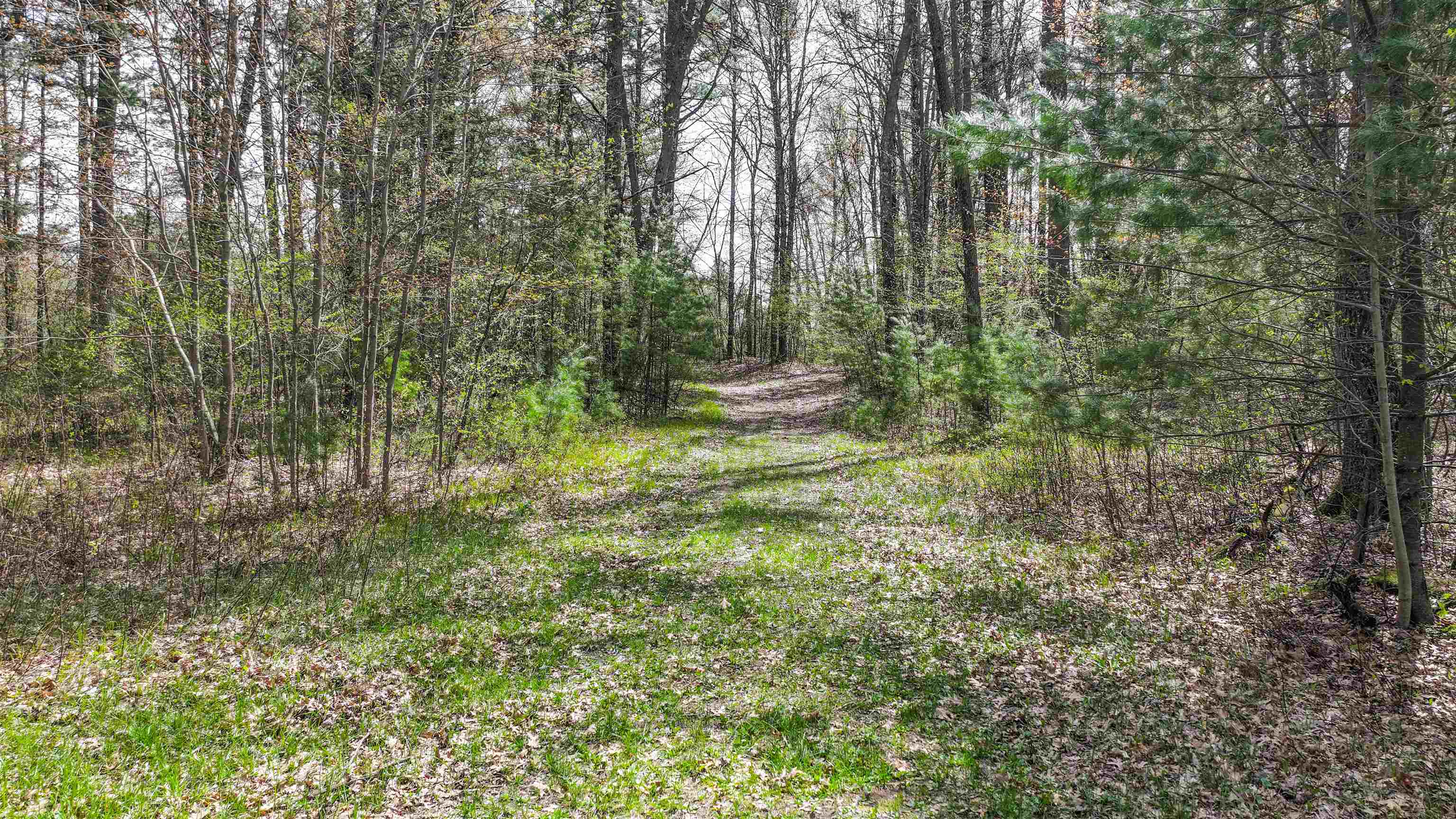 45.17 acres COUNTY ROAD Y, Custer, Wisconsin 54423, ,Land,For Sale,45.17 acres COUNTY ROAD Y,22601976
