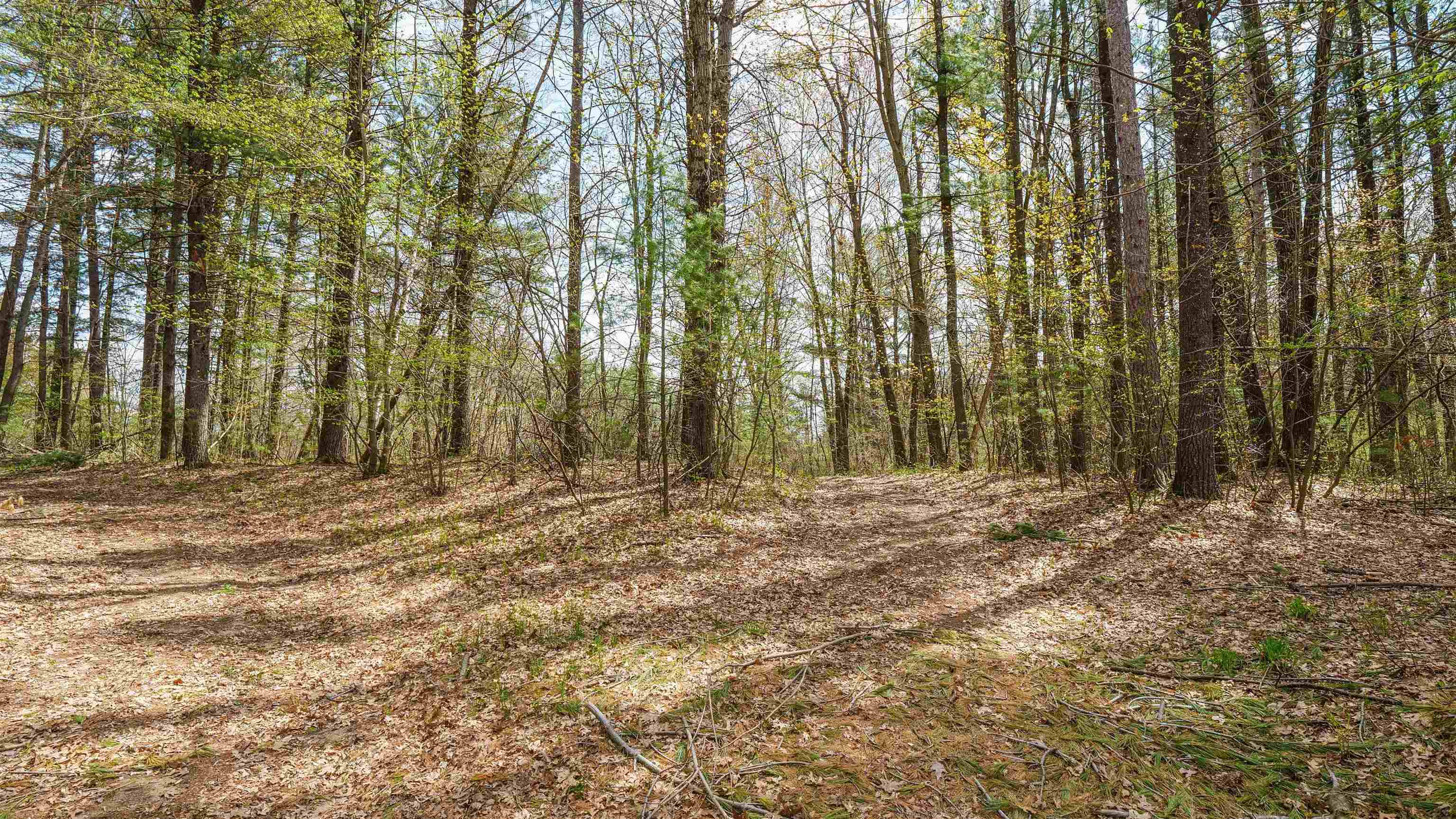 45.17 acres COUNTY ROAD Y, Custer, Wisconsin 54423, ,Land,For Sale,45.17 acres COUNTY ROAD Y,22601976