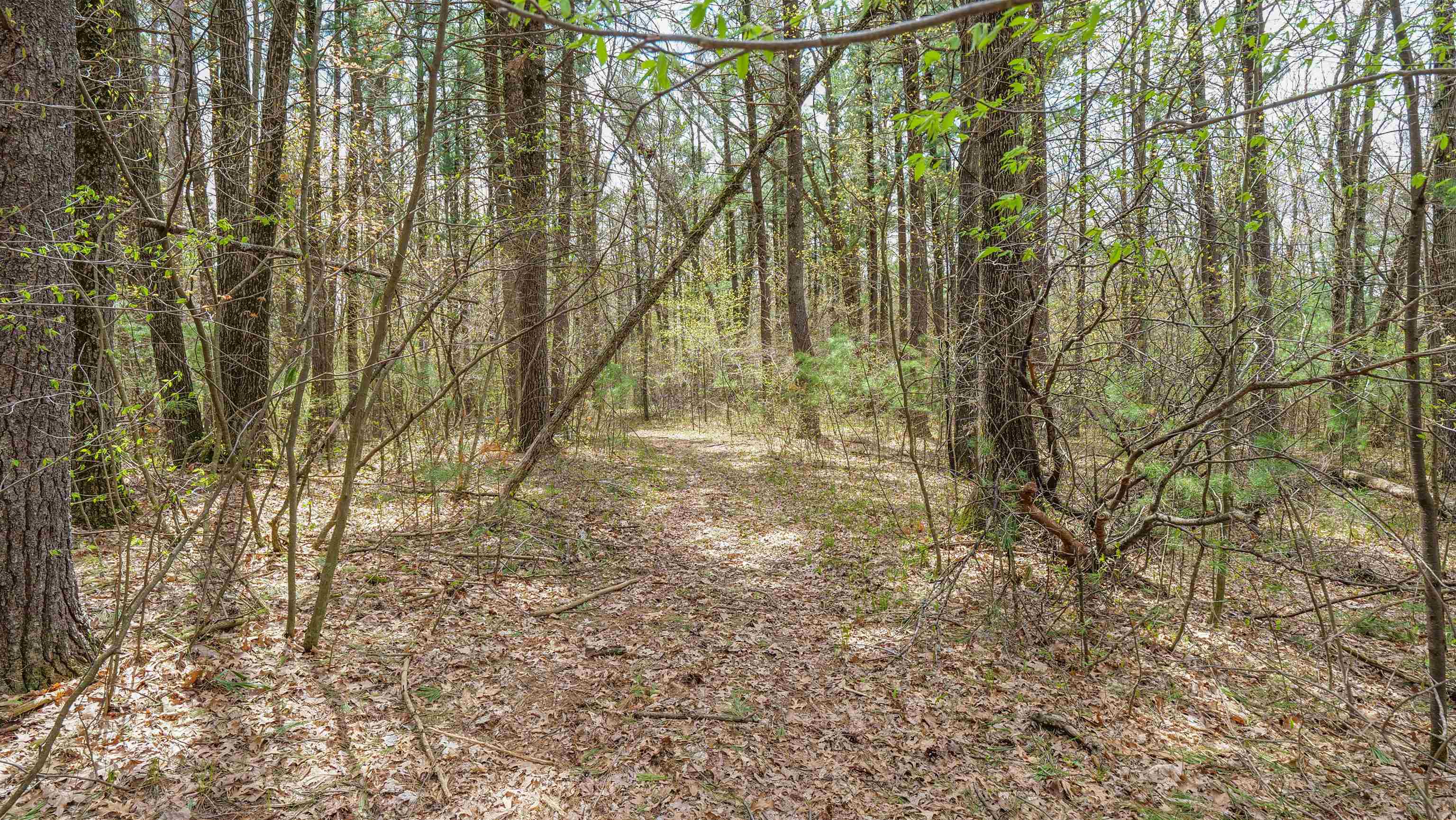 45.17 acres COUNTY ROAD Y, Custer, Wisconsin 54423, ,Land,For Sale,45.17 acres COUNTY ROAD Y,22601976
