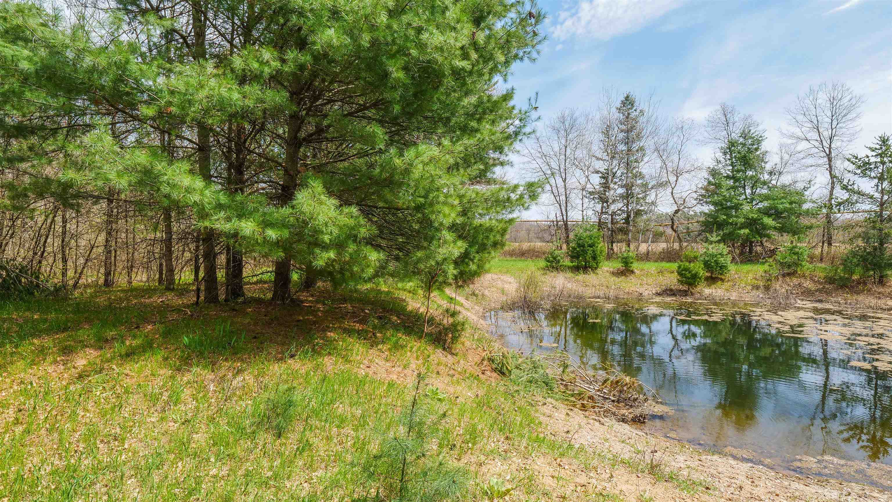 45.17 acres COUNTY ROAD Y, Custer, Wisconsin 54423, ,Land,For Sale,45.17 acres COUNTY ROAD Y,22601976