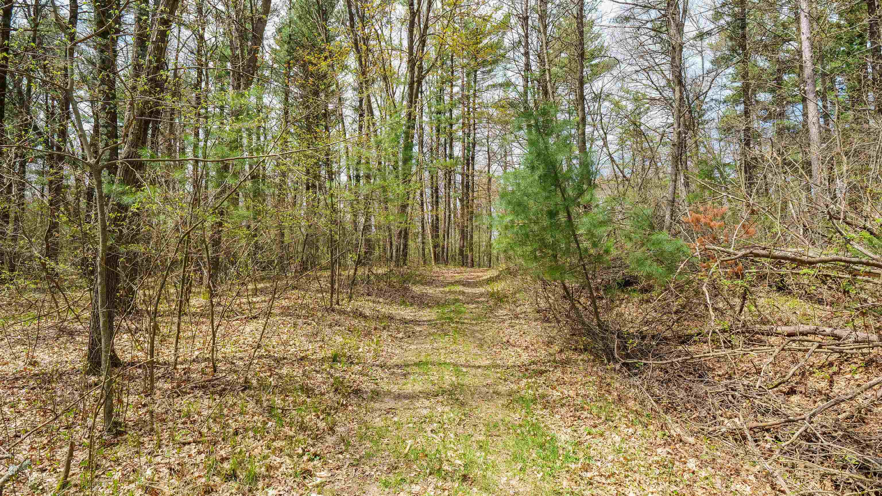 45.17 acres COUNTY ROAD Y, Custer, Wisconsin 54423, ,Land,For Sale,45.17 acres COUNTY ROAD Y,22601976