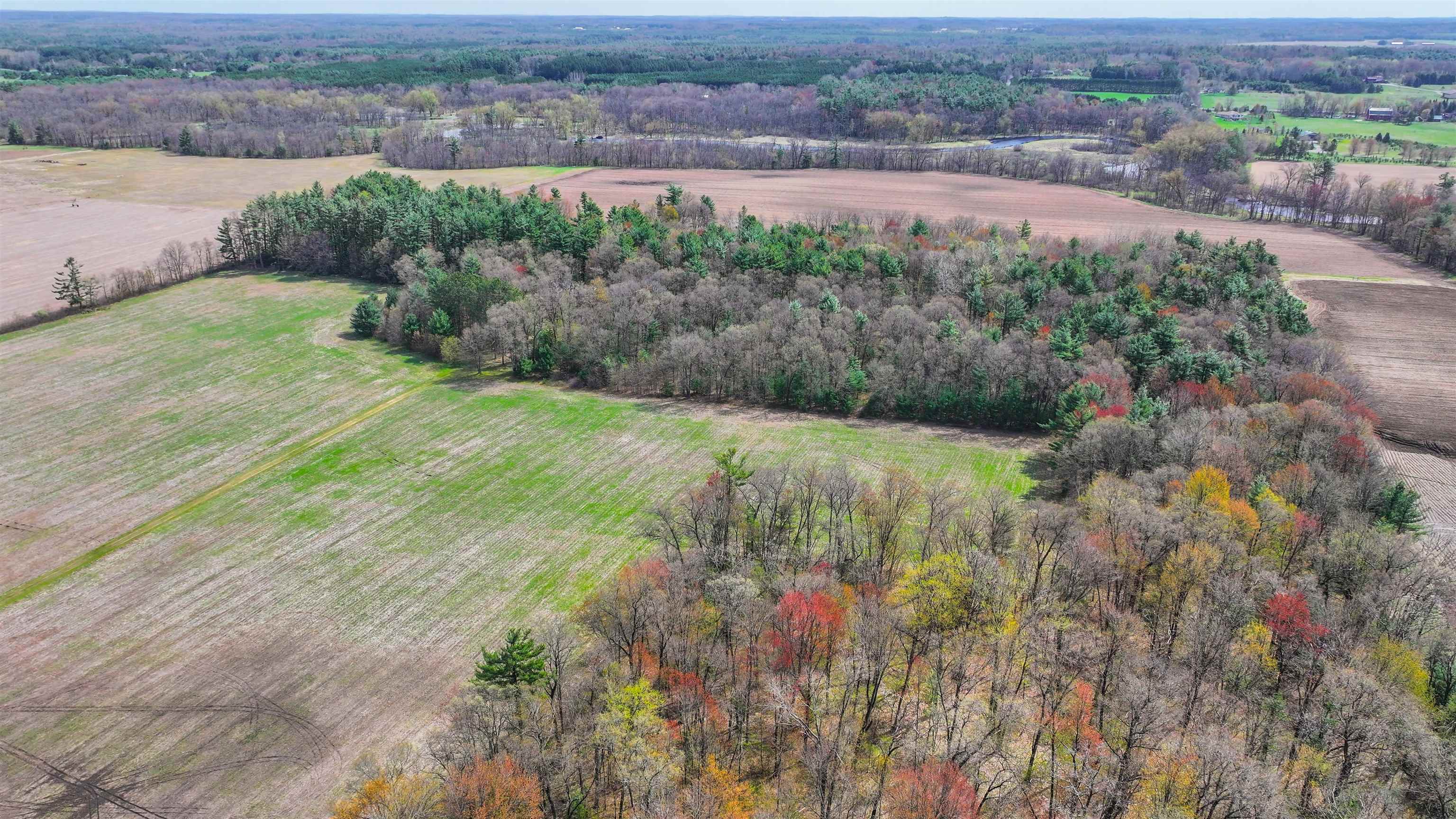 45.17 acres COUNTY ROAD Y, Custer, Wisconsin 54423, ,Land,For Sale,45.17 acres COUNTY ROAD Y,22601976