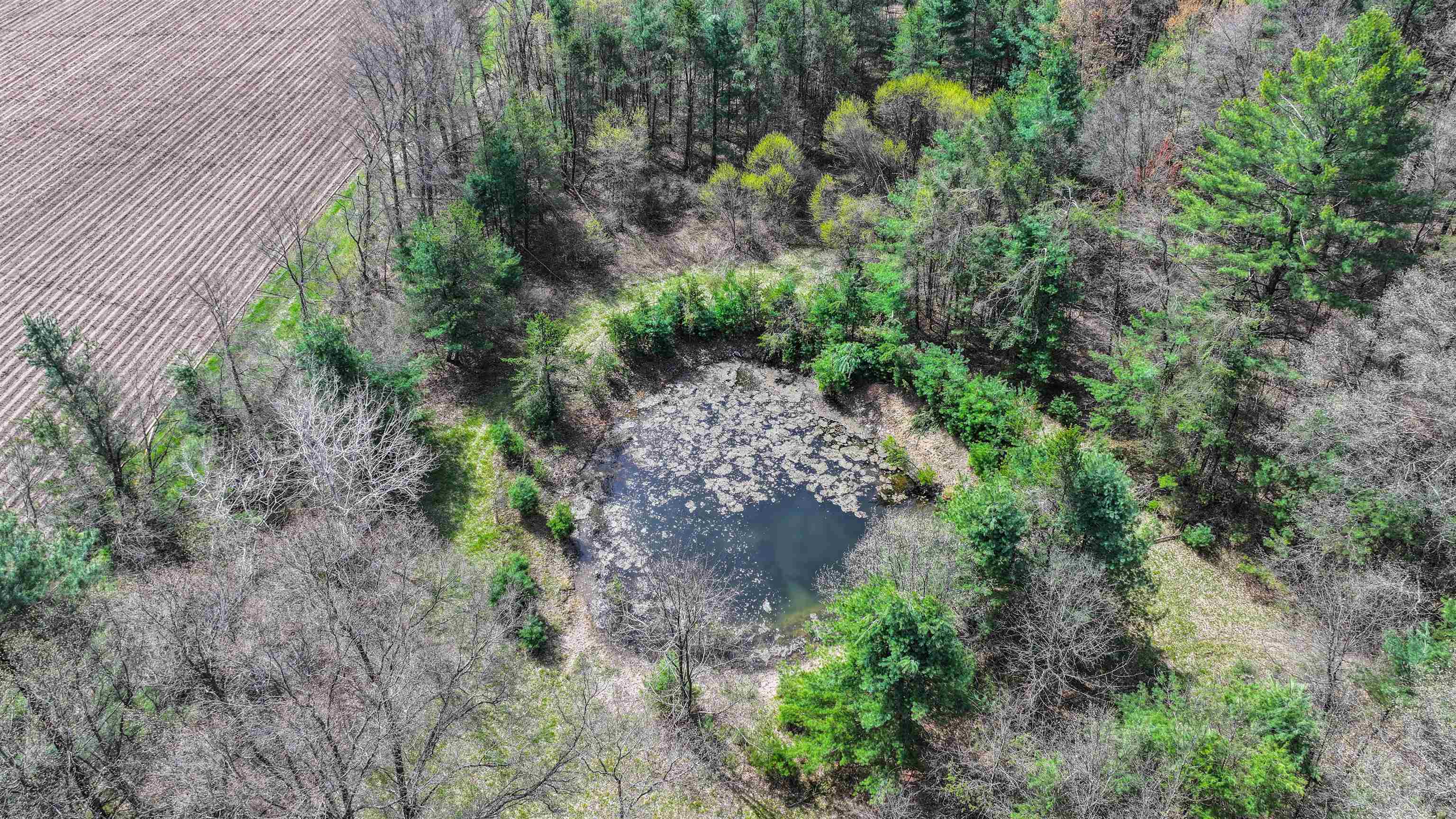 45.17 acres COUNTY ROAD Y, Custer, Wisconsin 54423, ,Land,For Sale,45.17 acres COUNTY ROAD Y,22601976