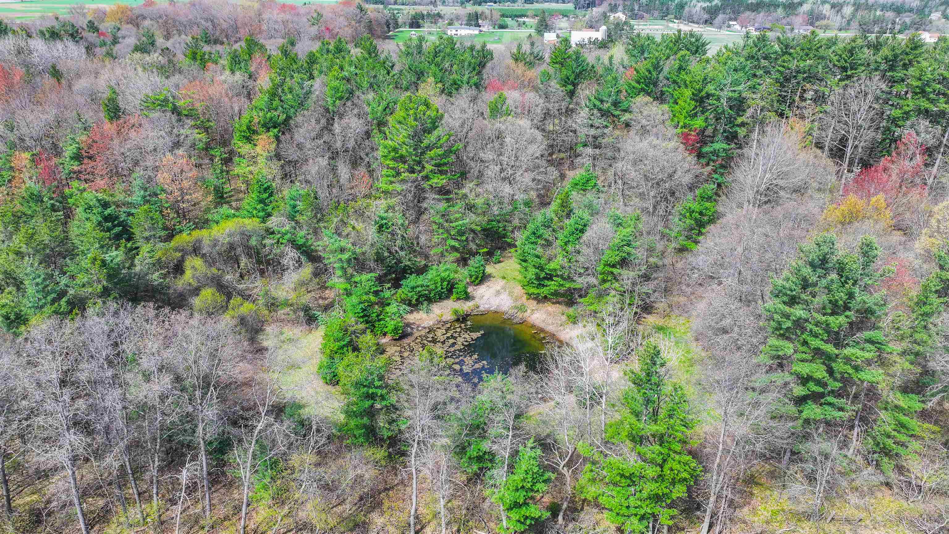 45.17 acres COUNTY ROAD Y, Custer, Wisconsin 54423, ,Land,For Sale,45.17 acres COUNTY ROAD Y,22601976