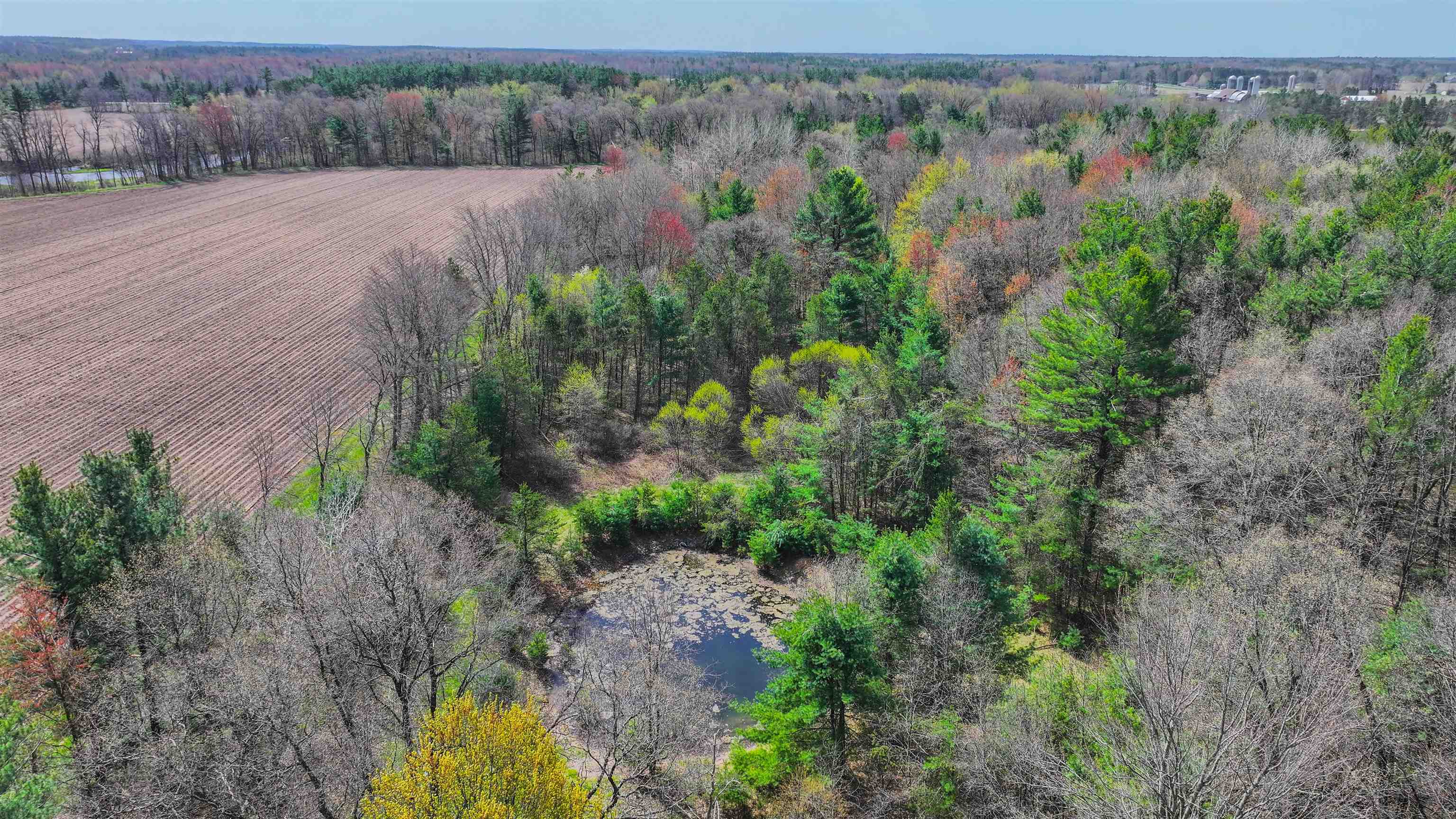 45.17 acres COUNTY ROAD Y, Custer, Wisconsin 54423, ,Land,For Sale,45.17 acres COUNTY ROAD Y,22601976