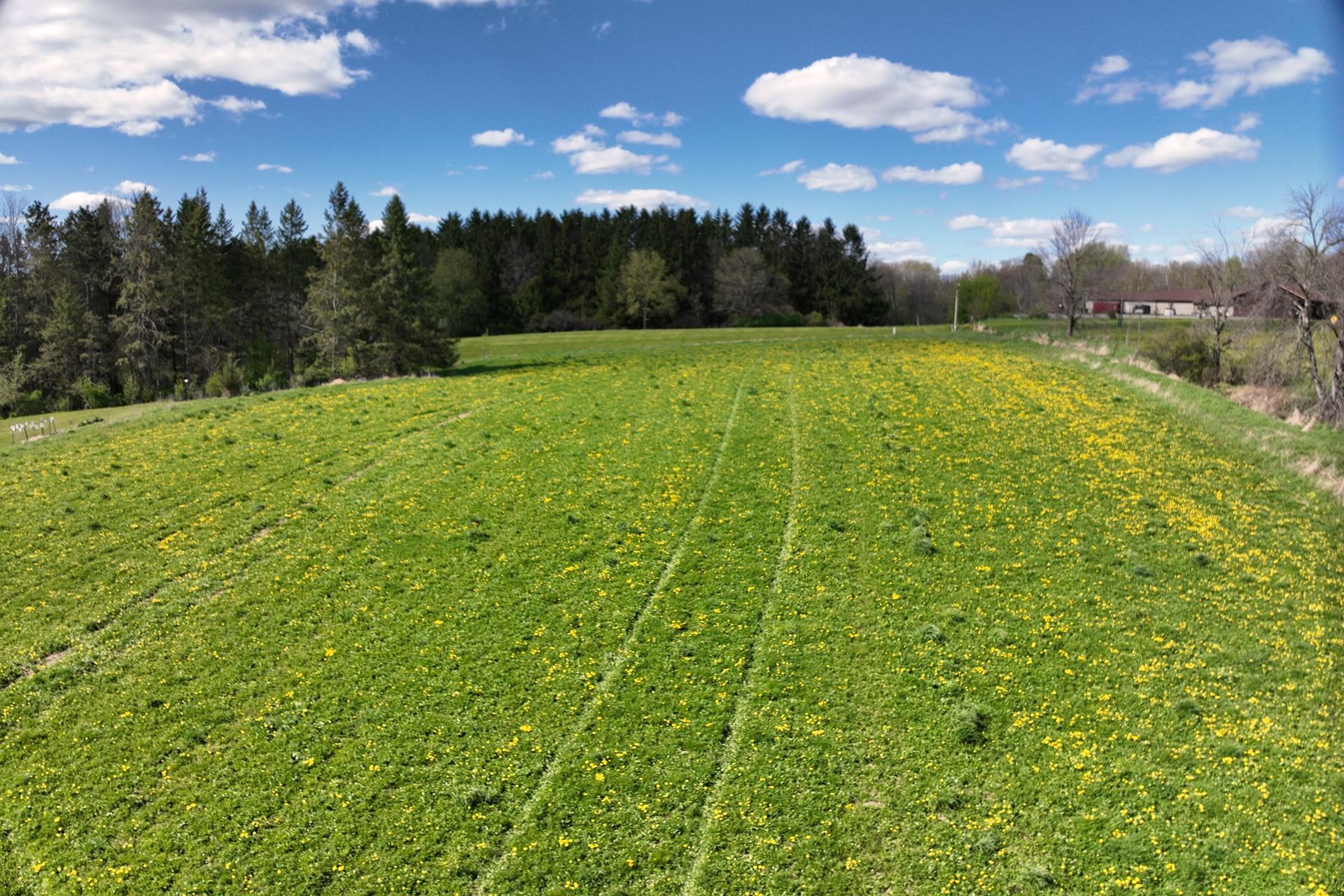 Lot 15 ROLLING HILLS DRIVE, Neillsville, Wisconsin 54456, ,Land,For Sale,Lot 15 ROLLING HILLS DRIVE,22601991