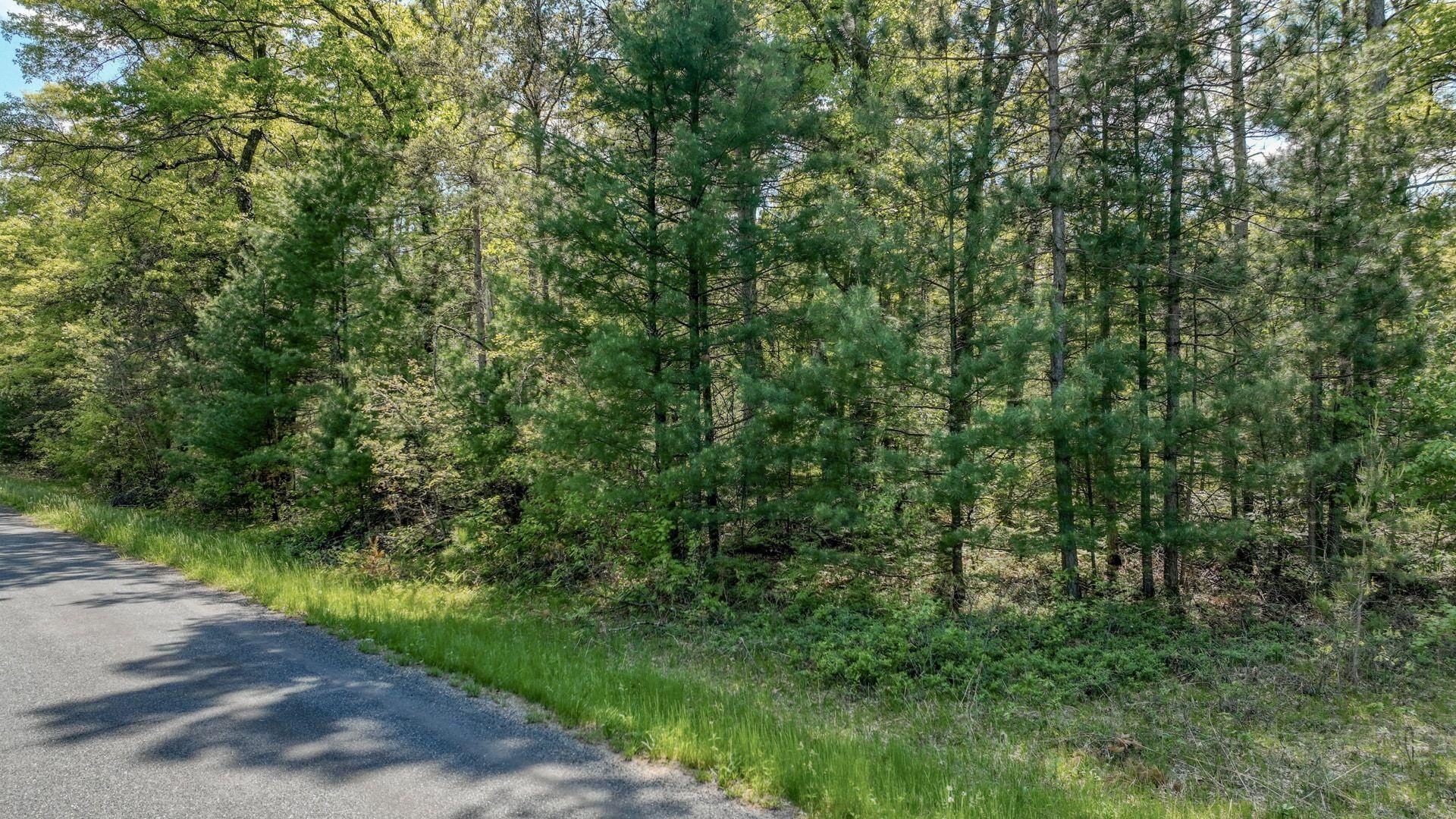 8667 LAKESIDE ROAD, Willard, Wisconsin 54493, ,Land,For Sale,8667 LAKESIDE ROAD,22601999