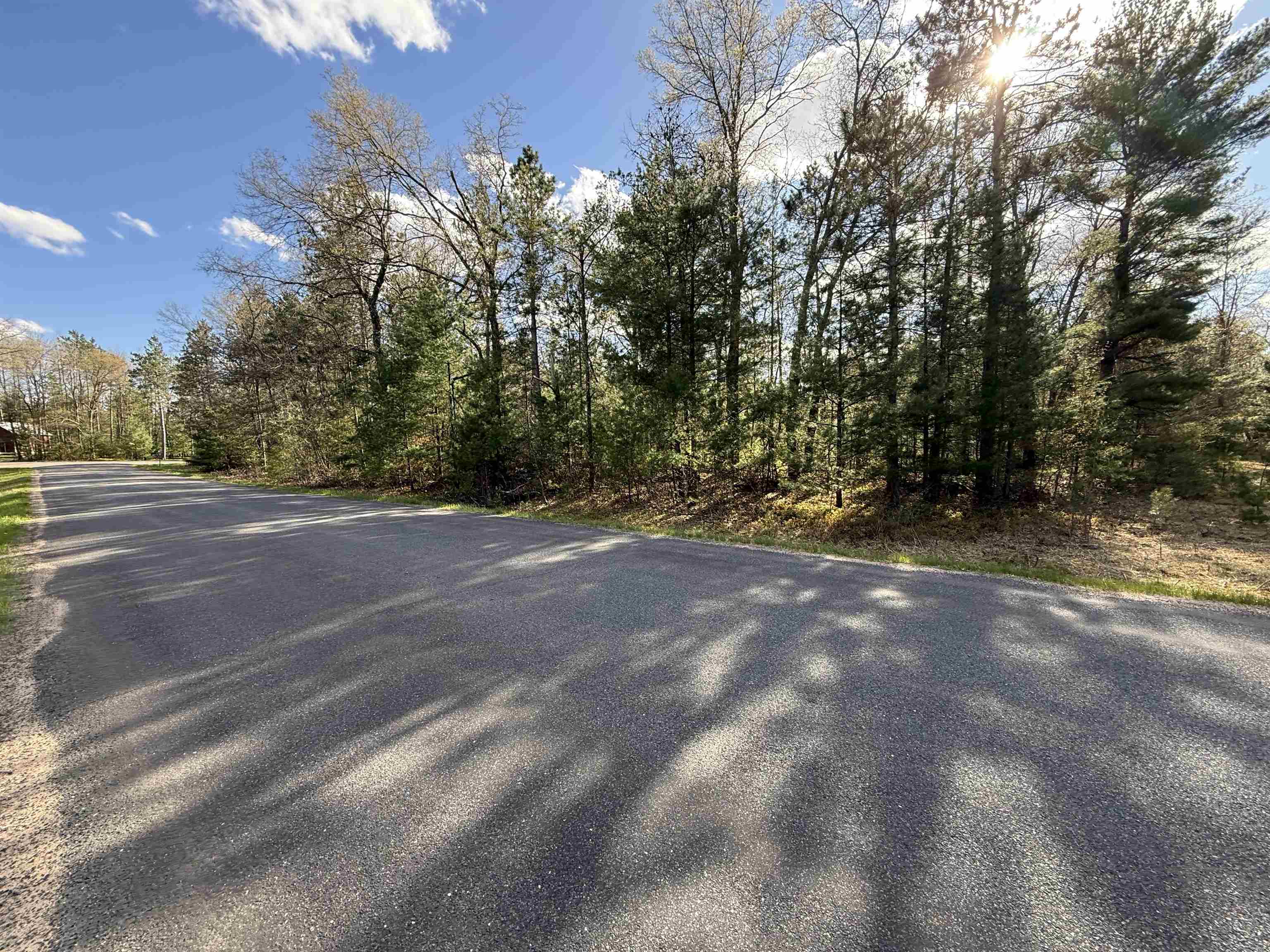 8667 LAKESIDE ROAD, Willard, Wisconsin 54493, ,Land,For Sale,8667 LAKESIDE ROAD,22601999