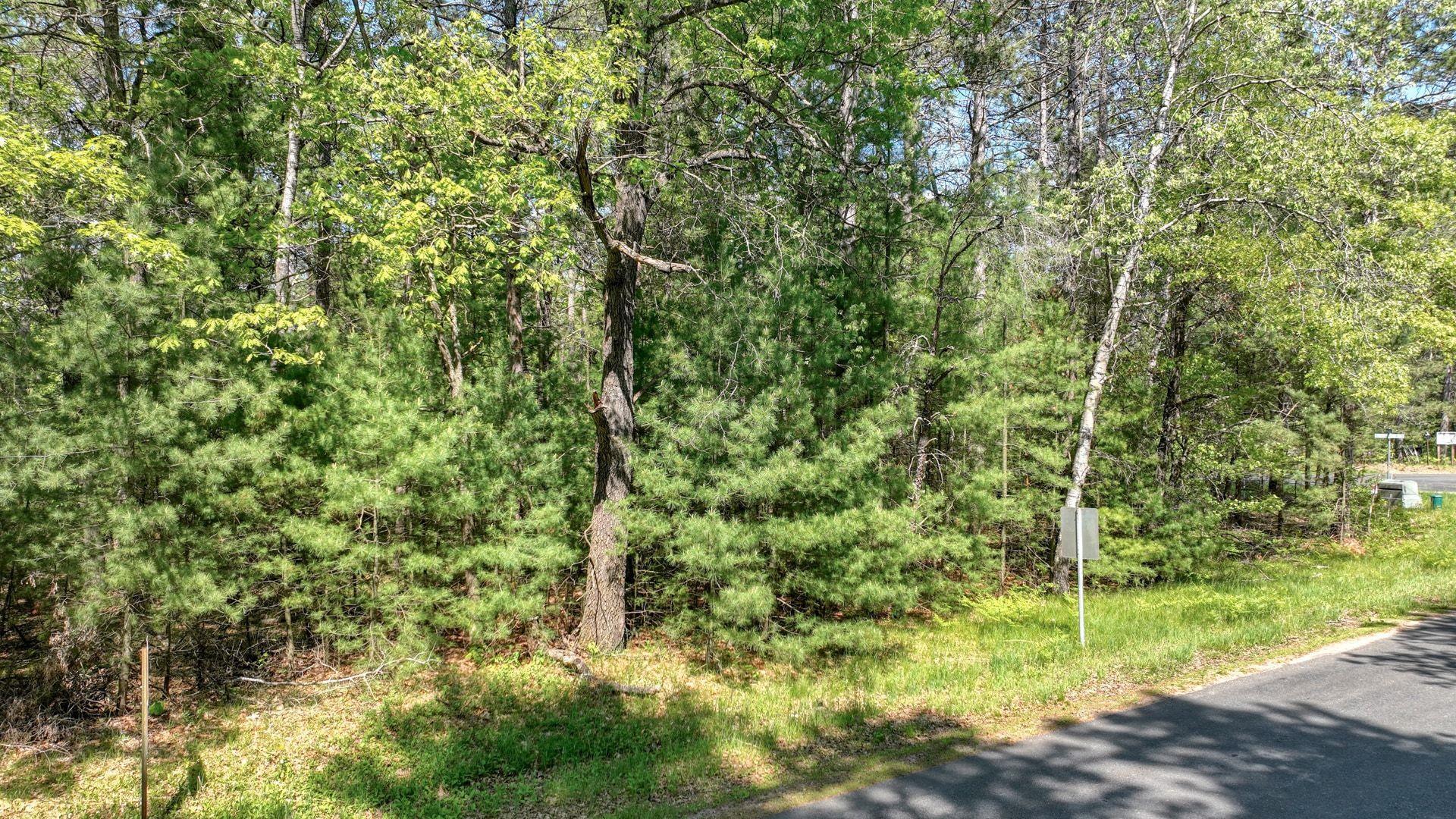 8667 LAKESIDE ROAD, Willard, Wisconsin 54493, ,Land,For Sale,8667 LAKESIDE ROAD,22601999