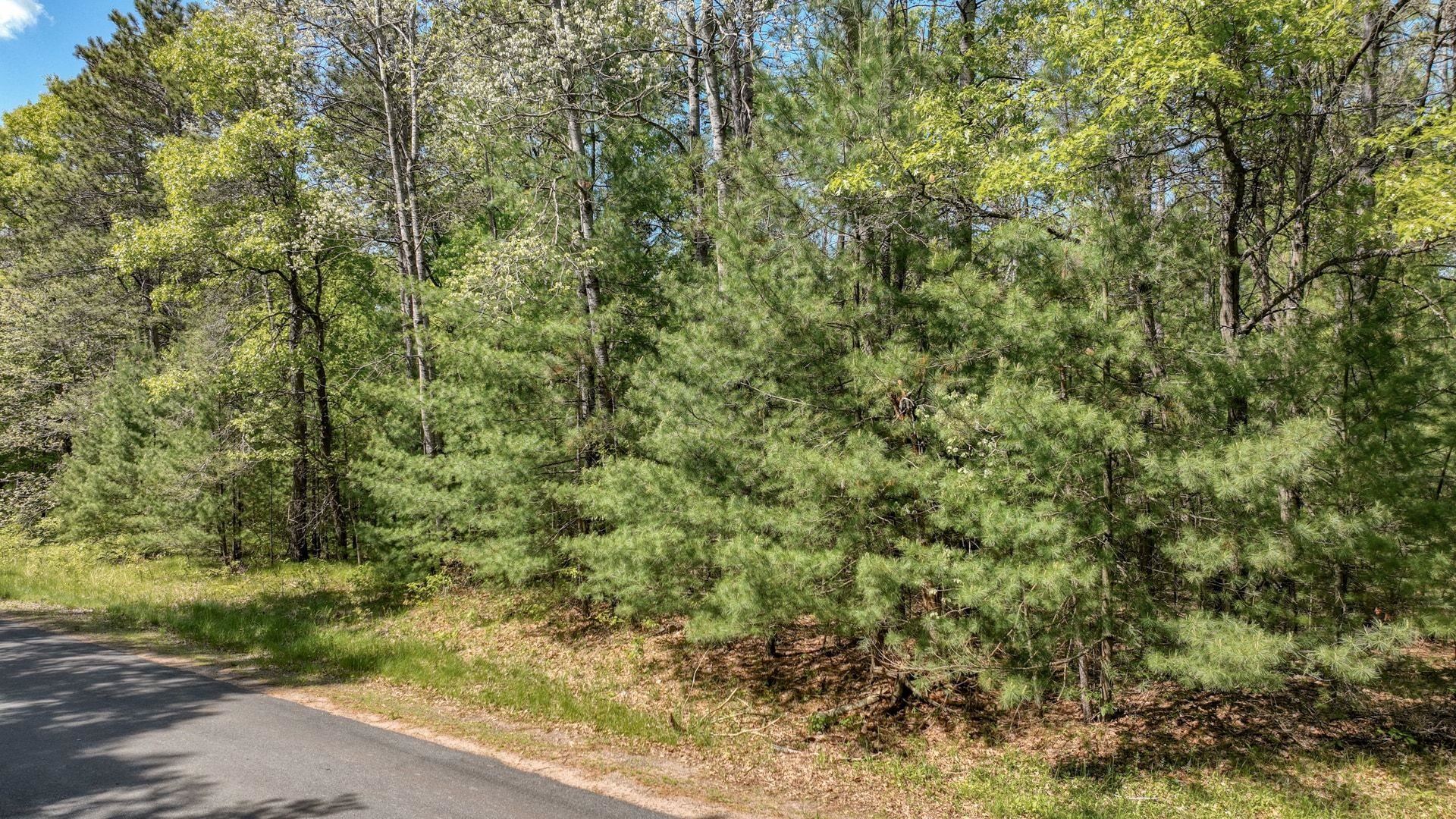8667 LAKESIDE ROAD, Willard, Wisconsin 54493, ,Land,For Sale,8667 LAKESIDE ROAD,22601999