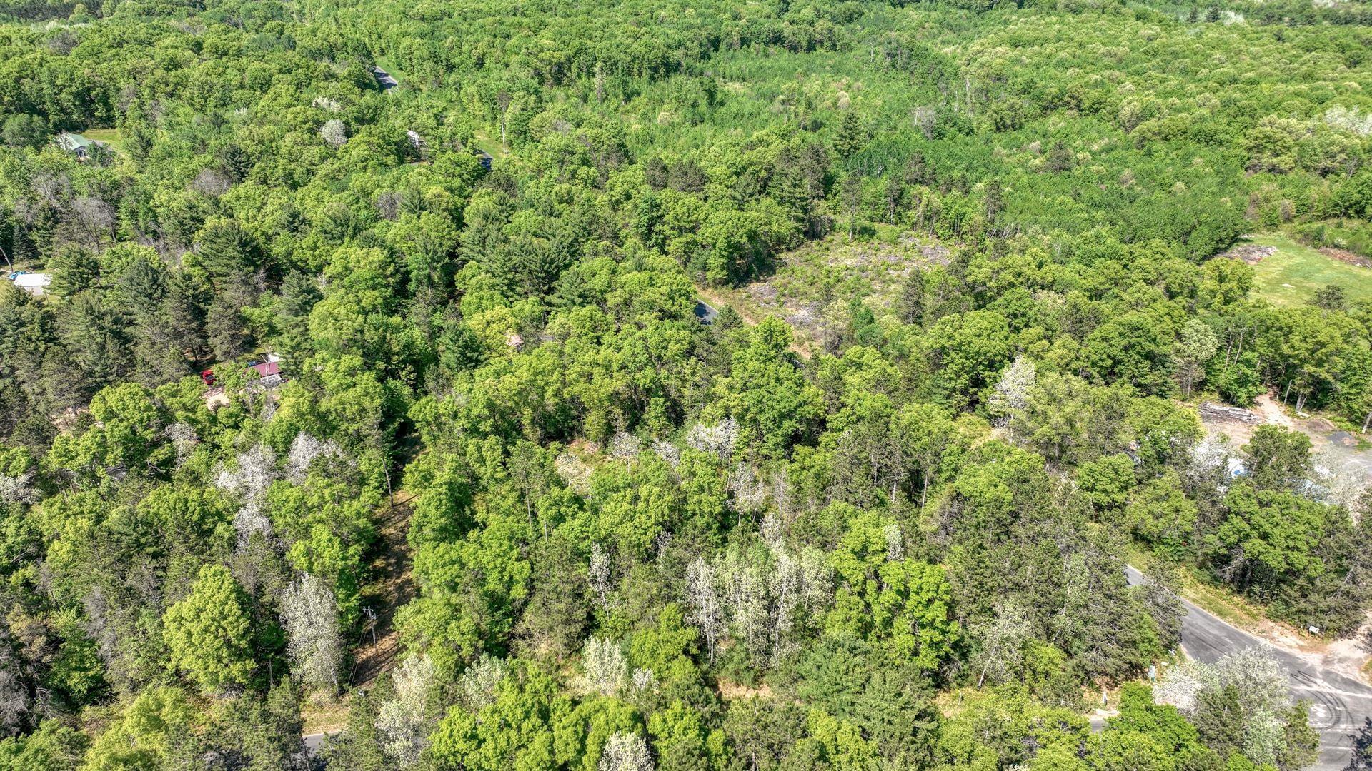 8667 LAKESIDE ROAD, Willard, Wisconsin 54493, ,Land,For Sale,8667 LAKESIDE ROAD,22601999
