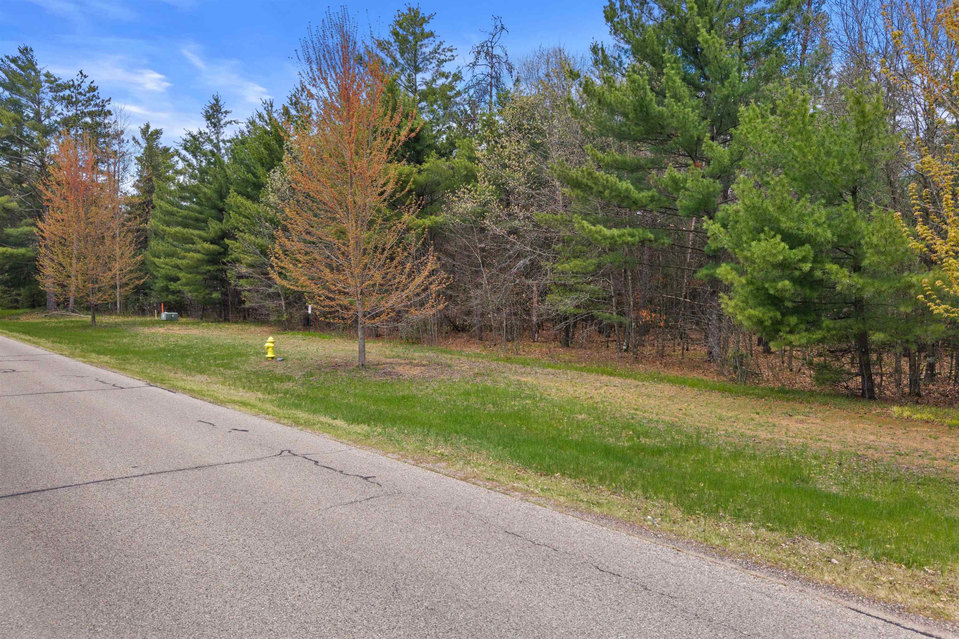 4030 RIVER DRIVE, Plover, Wisconsin 54467, ,Land,For Sale,4030 RIVER DRIVE,22602005